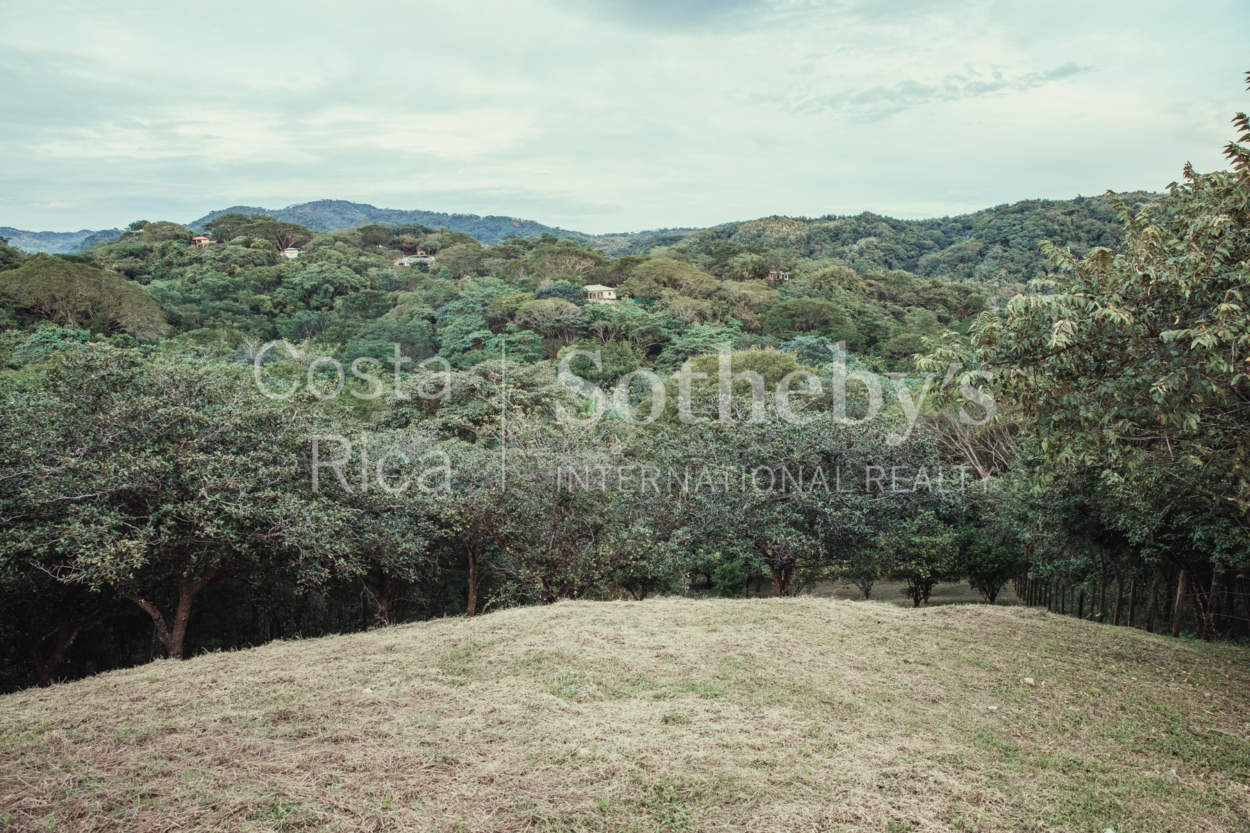 Nosara | Playa Garza