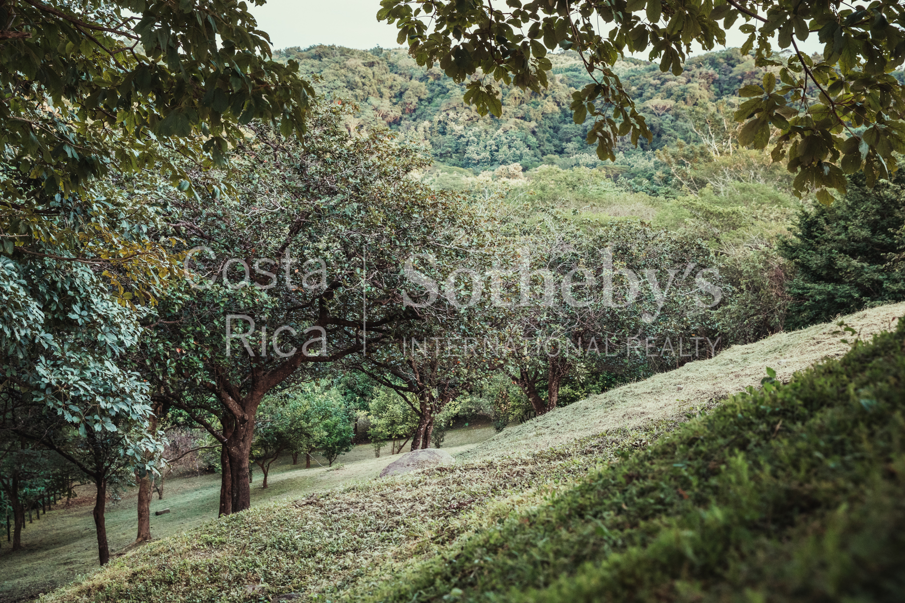 Nosara | Playa Garza