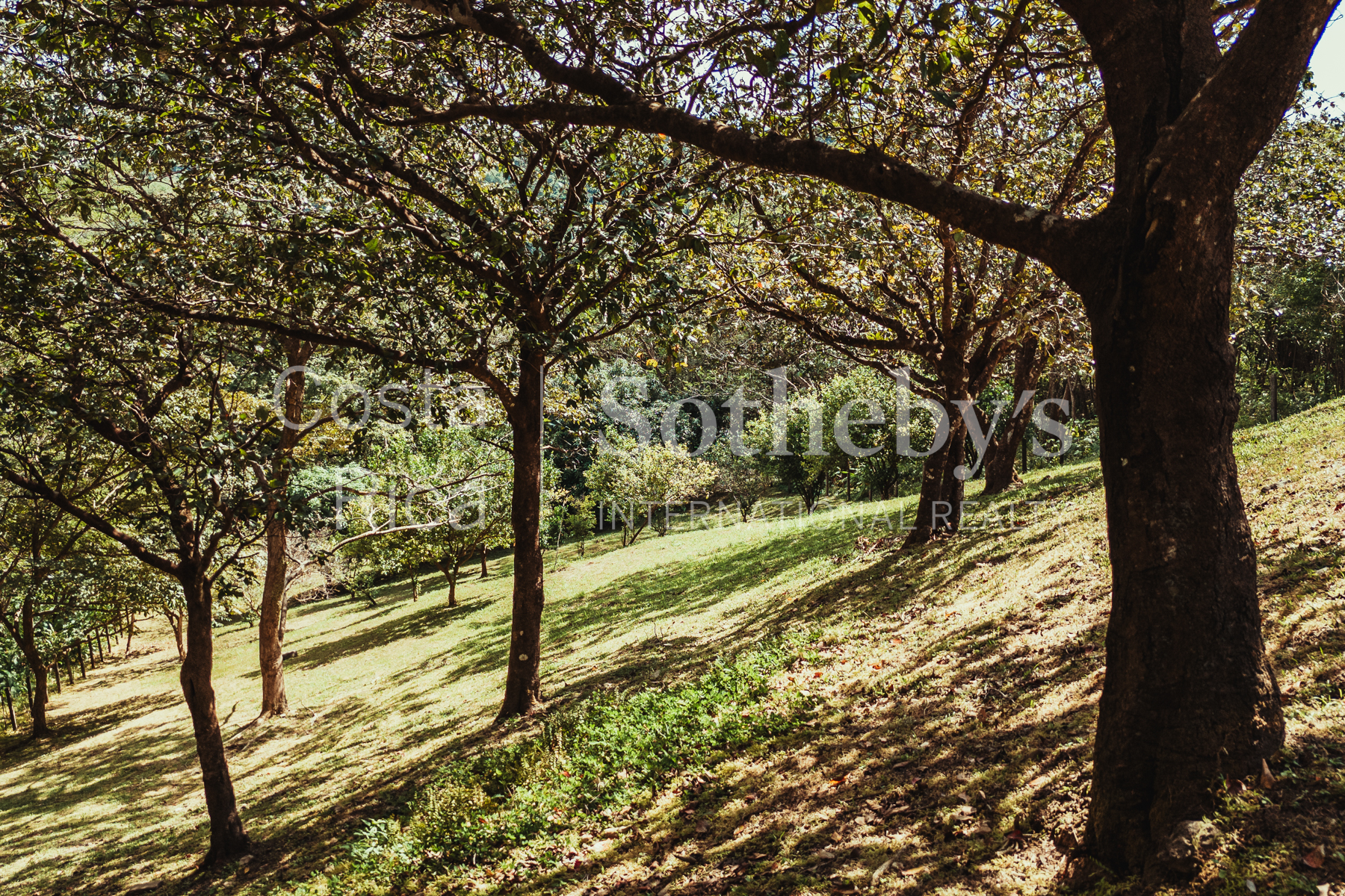 Nosara | Playa Garza