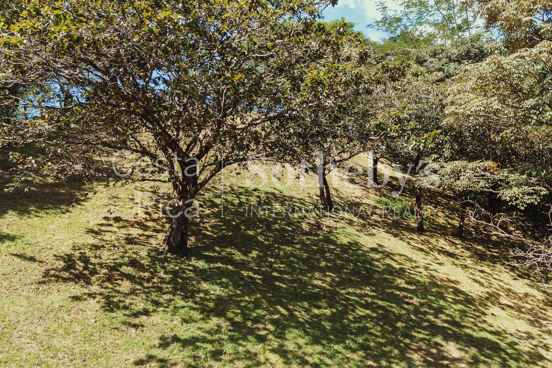 Nosara | Playa Garza