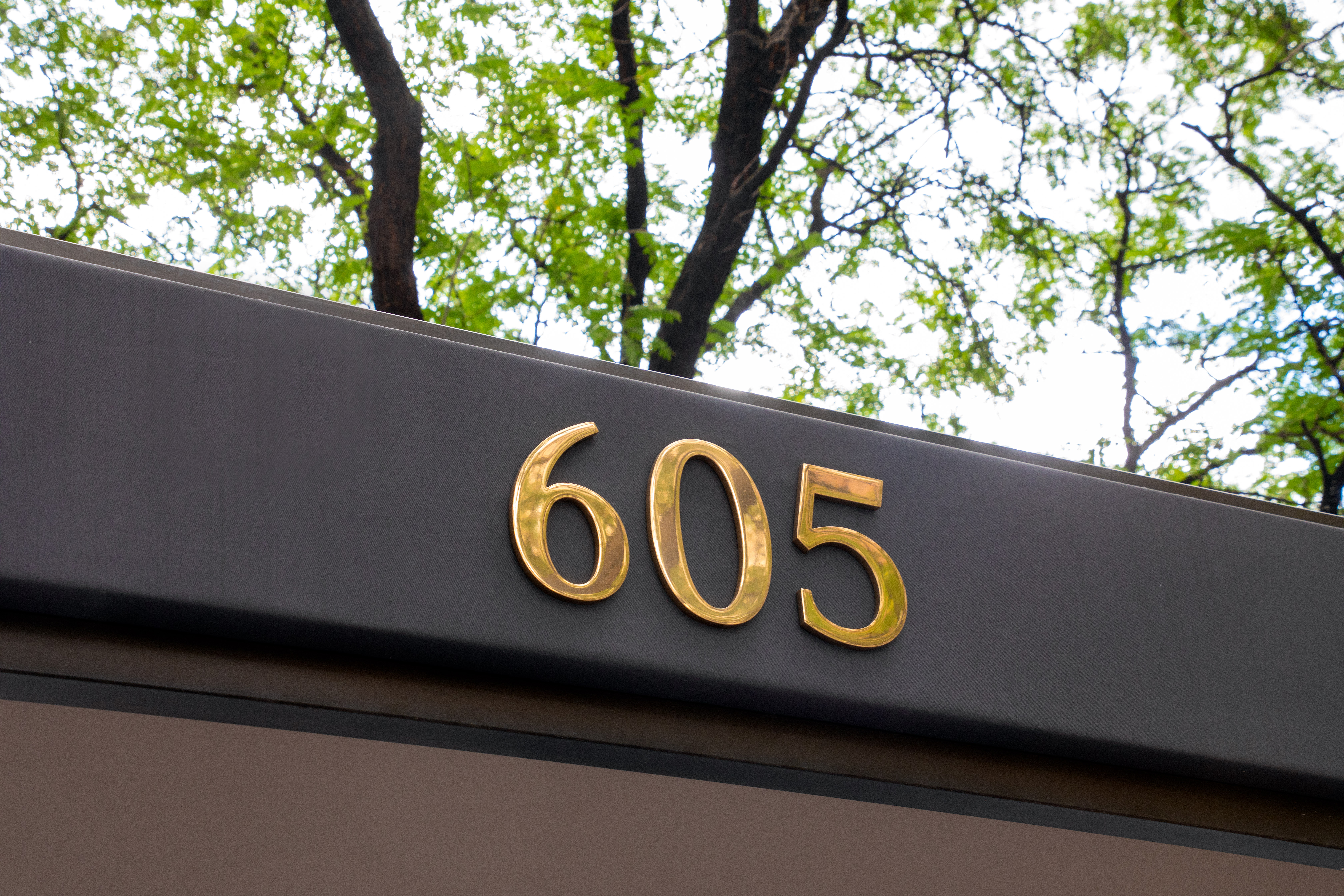 605 Park Avenue 9E