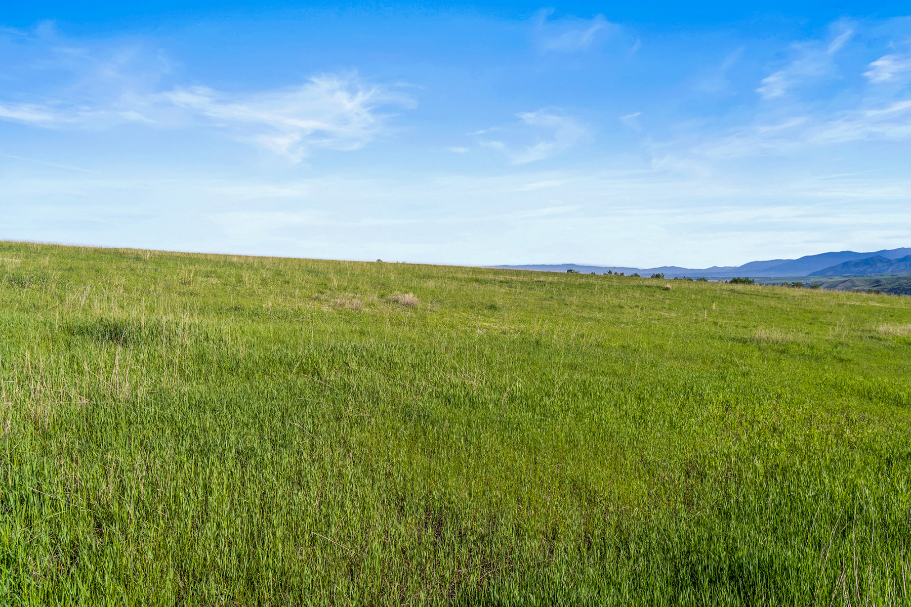 425 Painted Hills Road