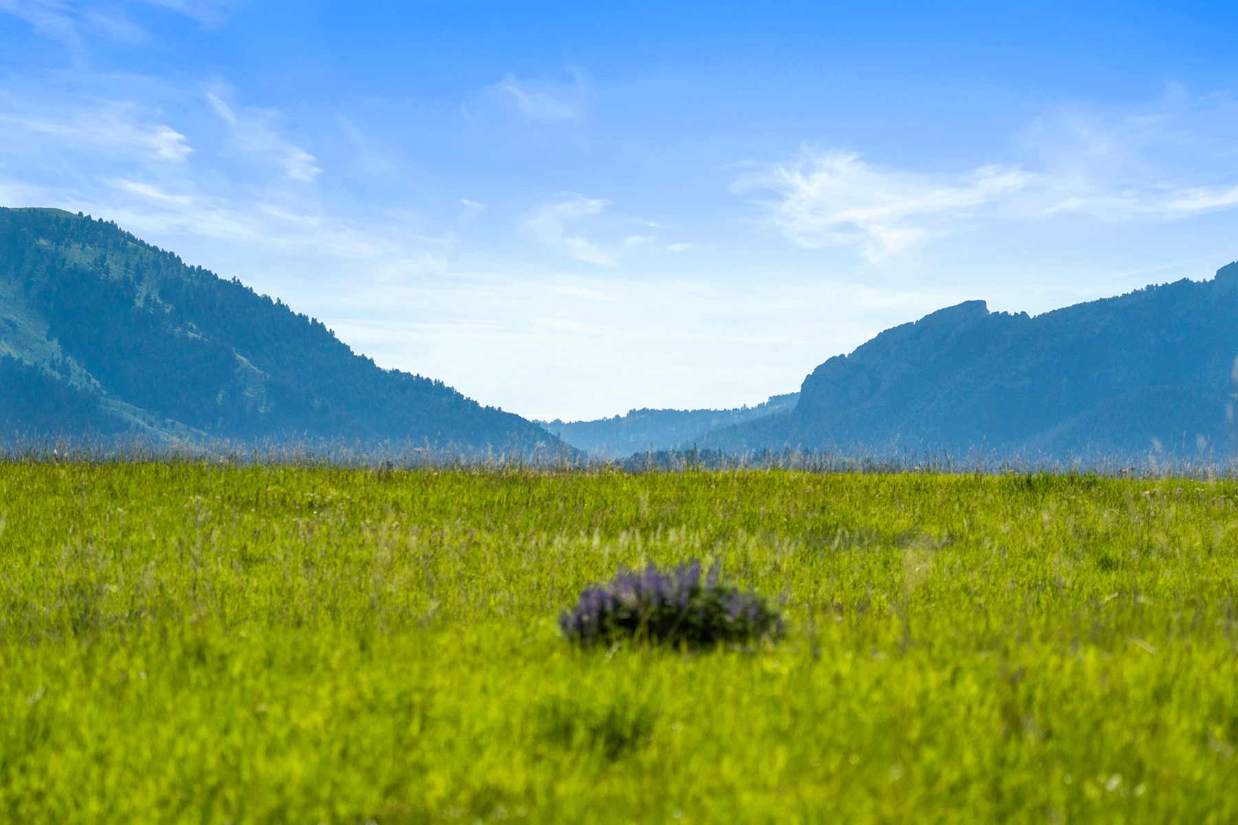 425 Painted Hills Road