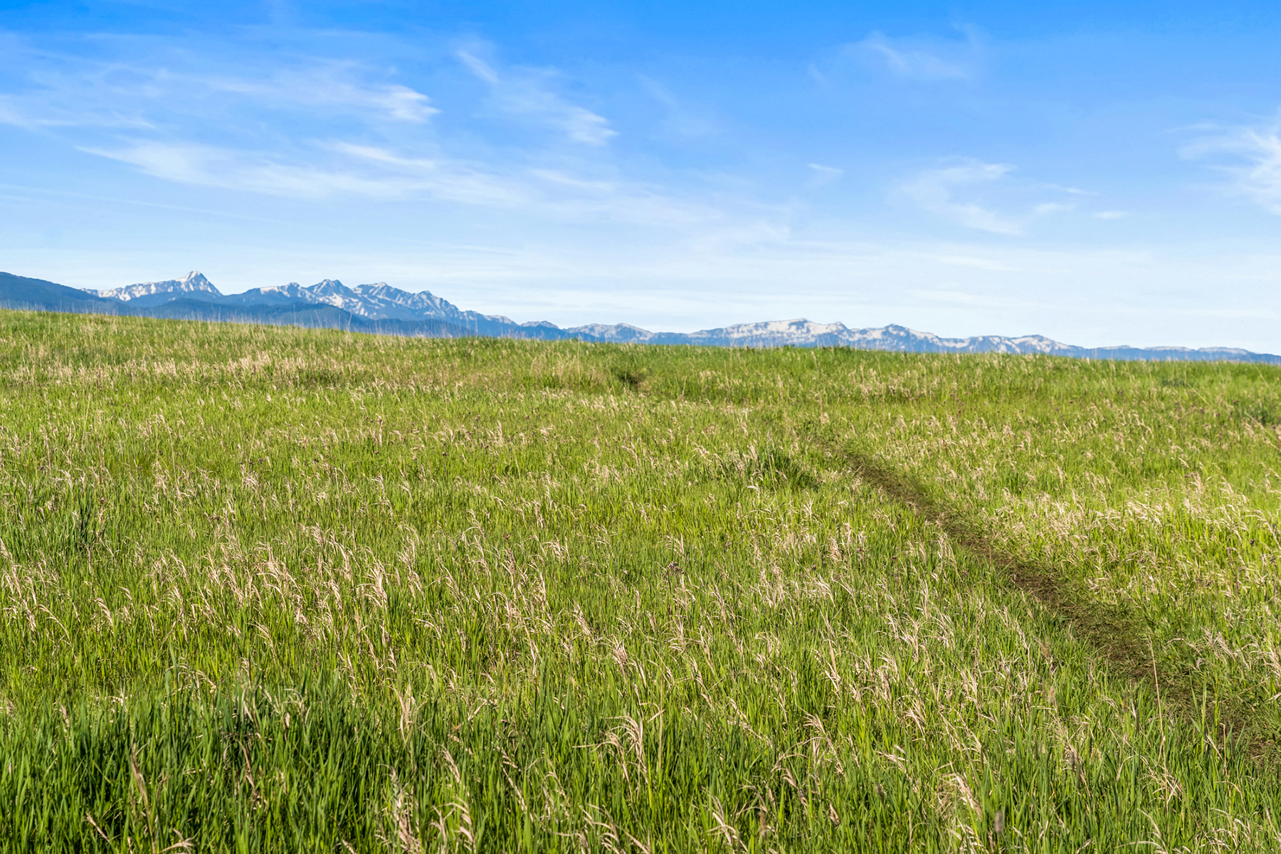 425 Painted Hills Road