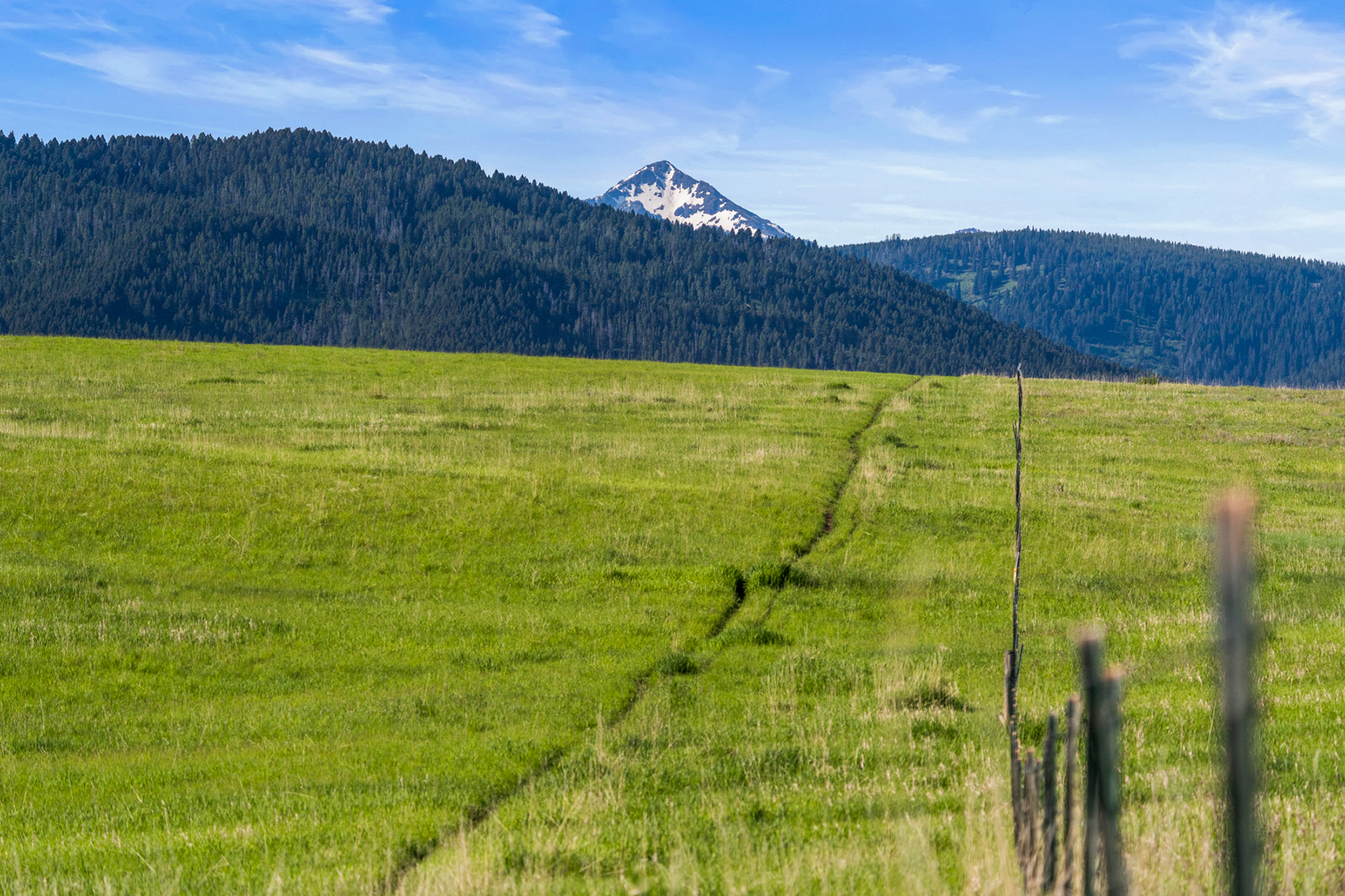 425 Painted Hills Road