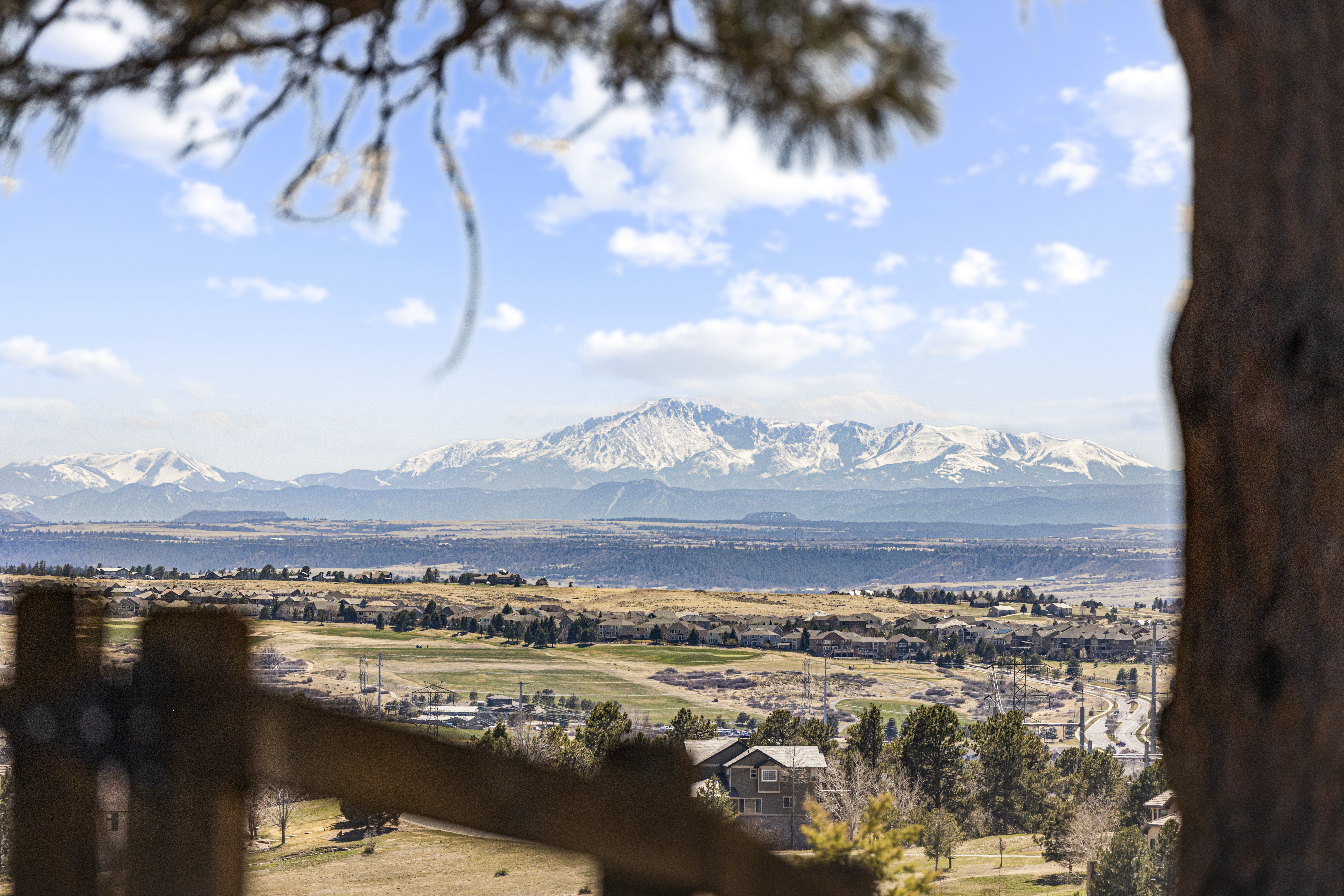 11911 Bell Cross Way 