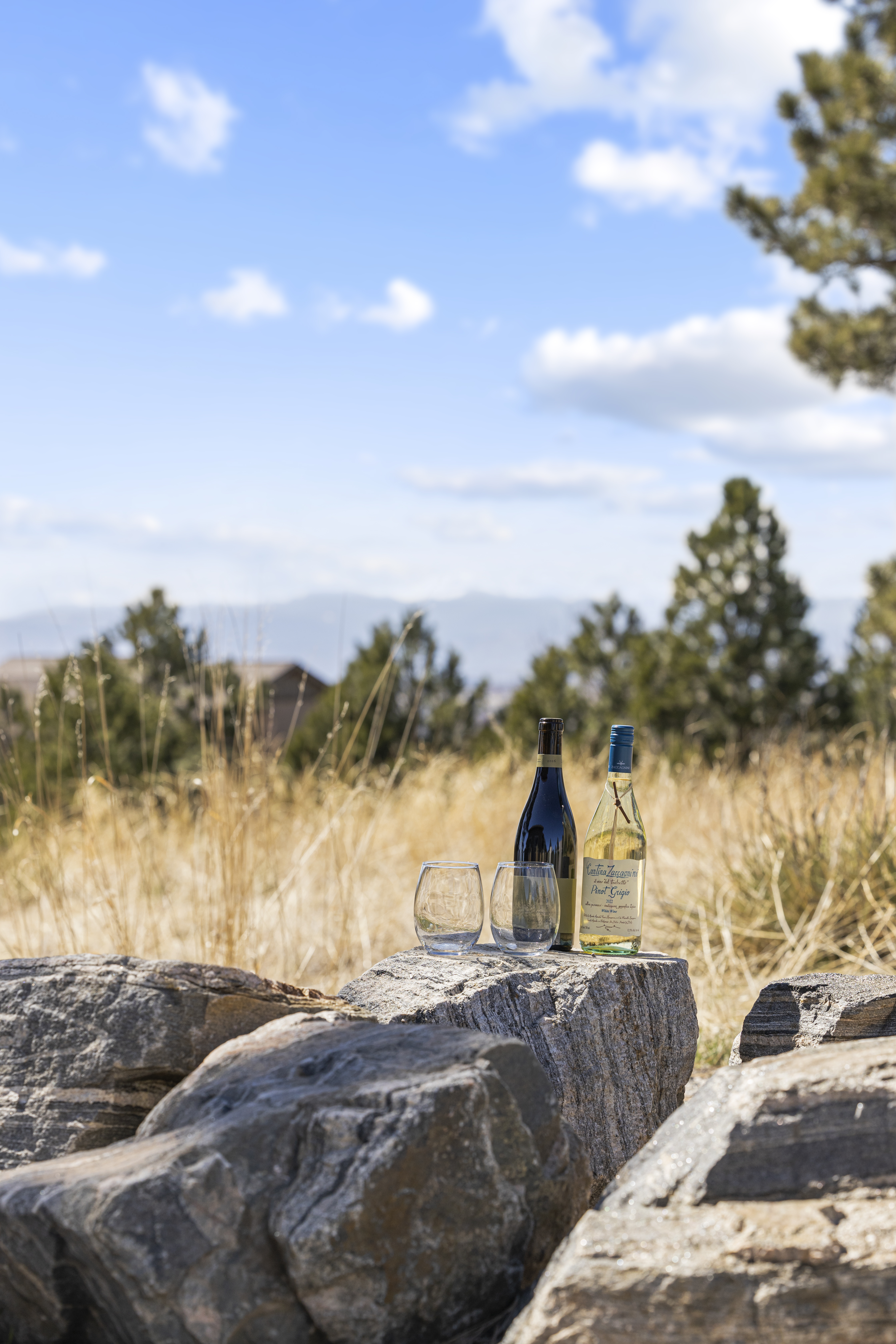 11911 Bell Cross Way 