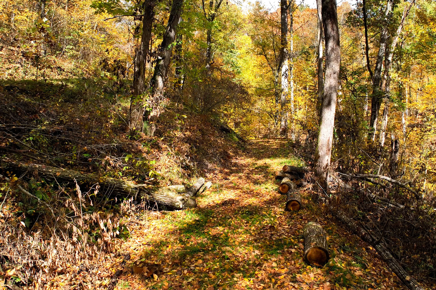 00 Green Valley Road