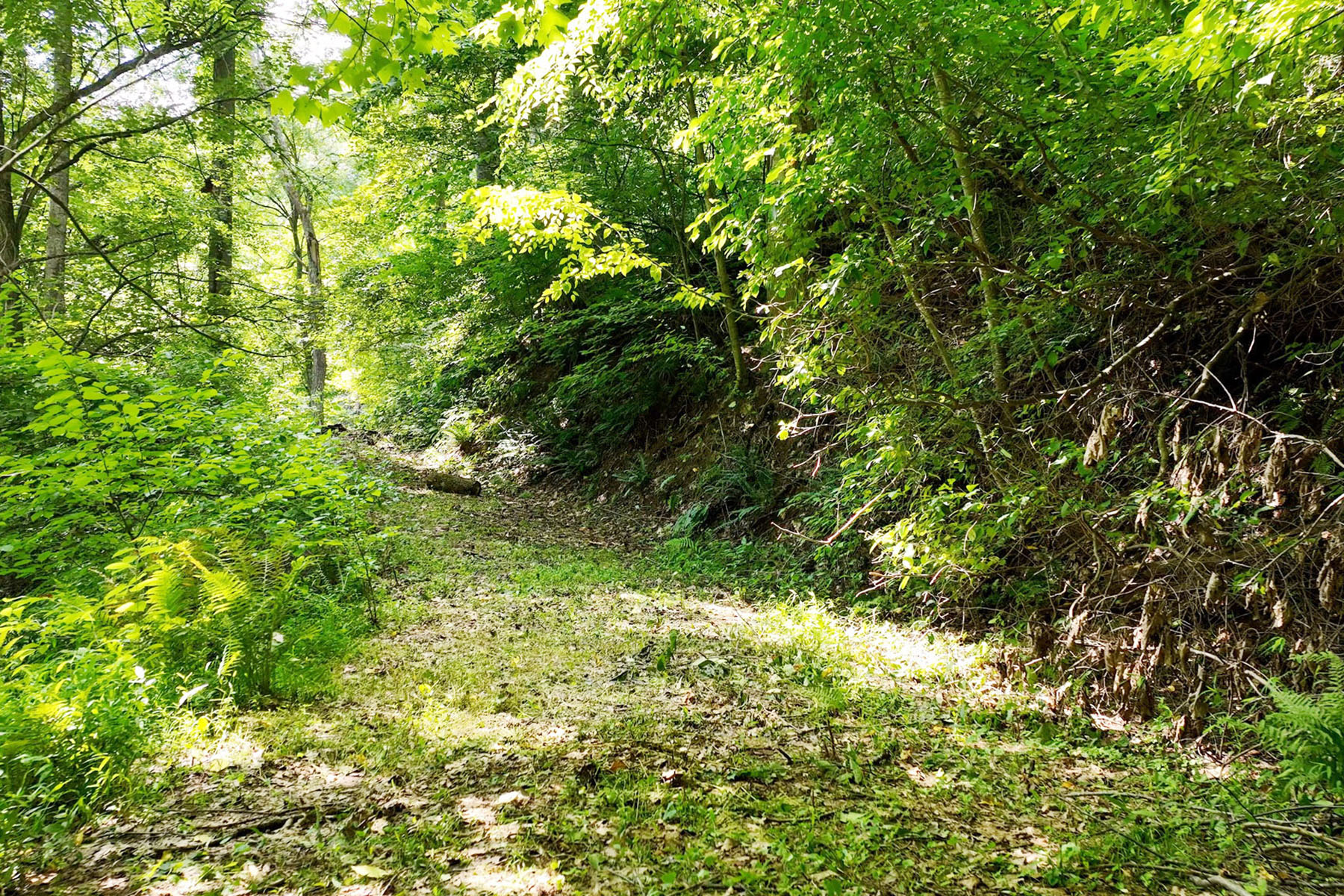 00 Green Valley Road