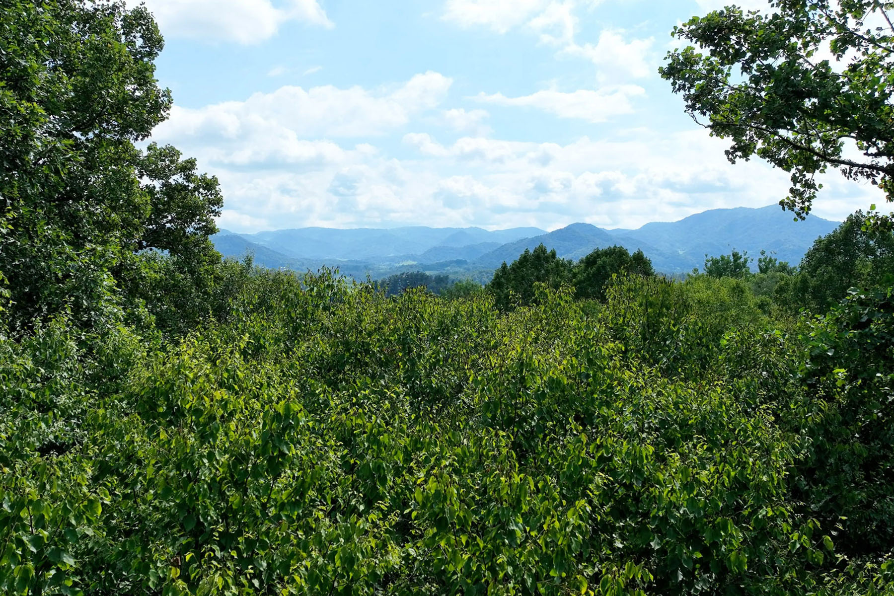 00 Green Valley Road
