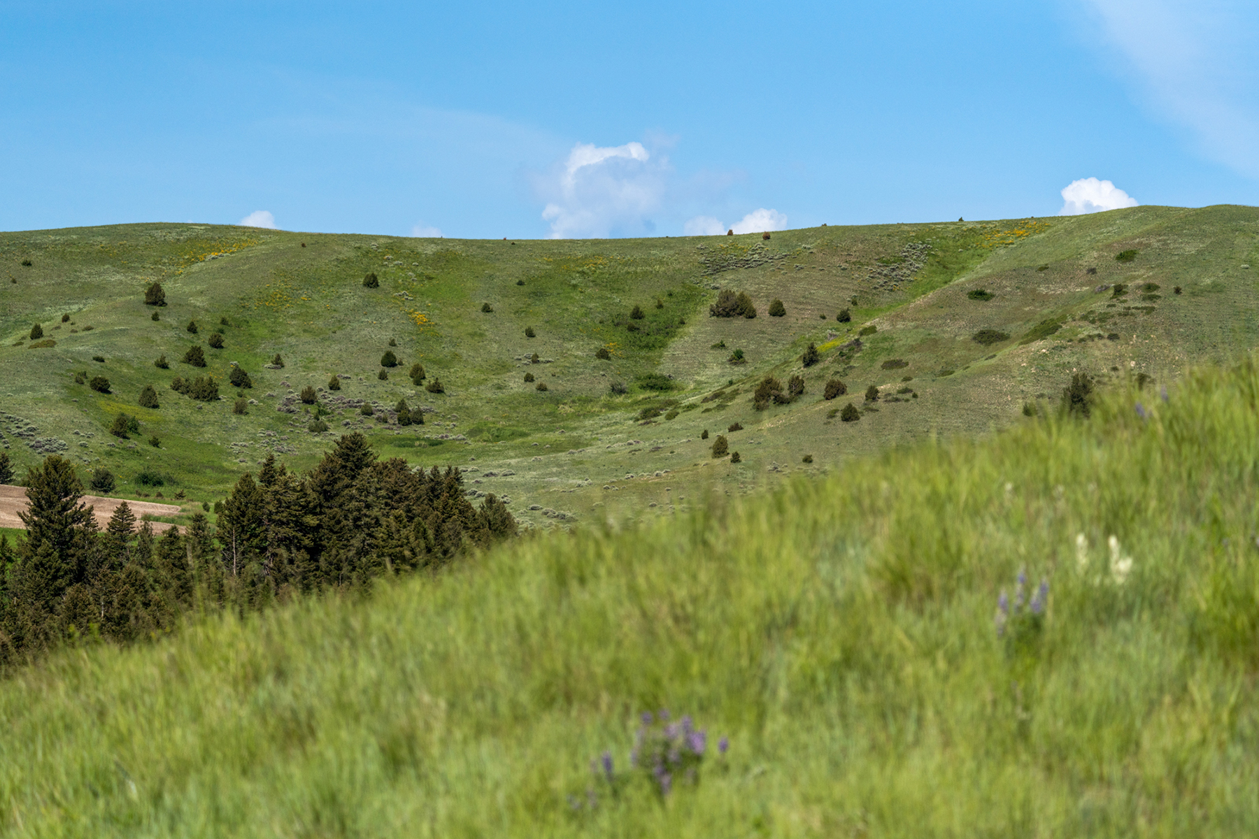 TBD N Montana Ranch Trail Road