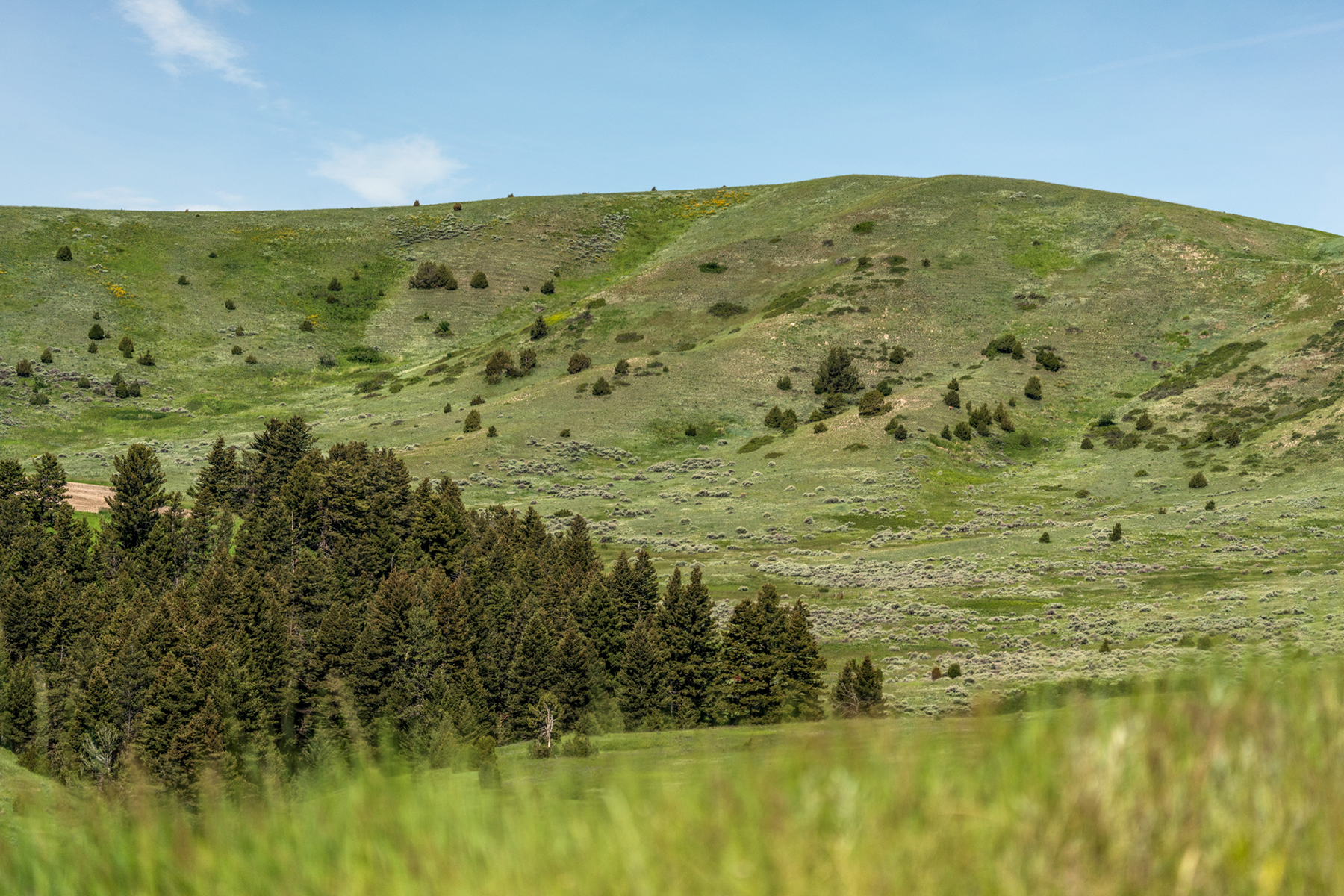 TBD N Montana Ranch Trail Road