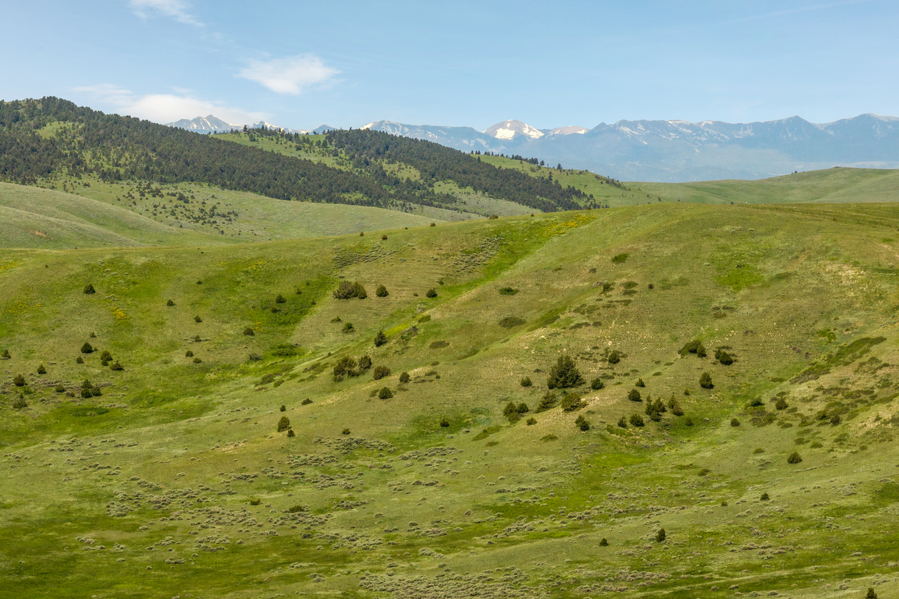 TBD N Montana Ranch Trail Road