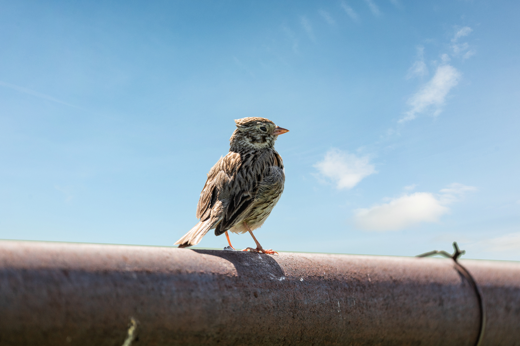 TBD N Montana Ranch Trail Road