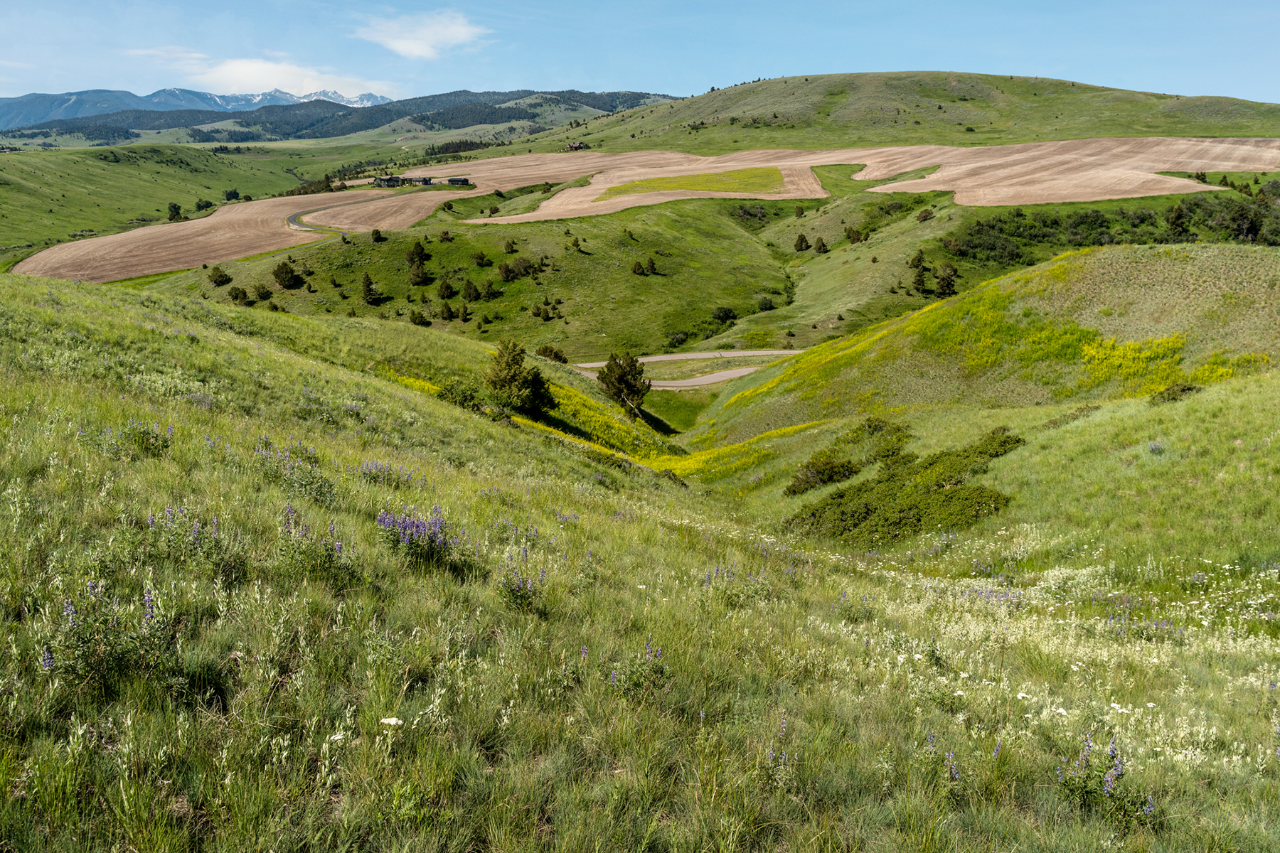 TBD N Montana Ranch Trail Road