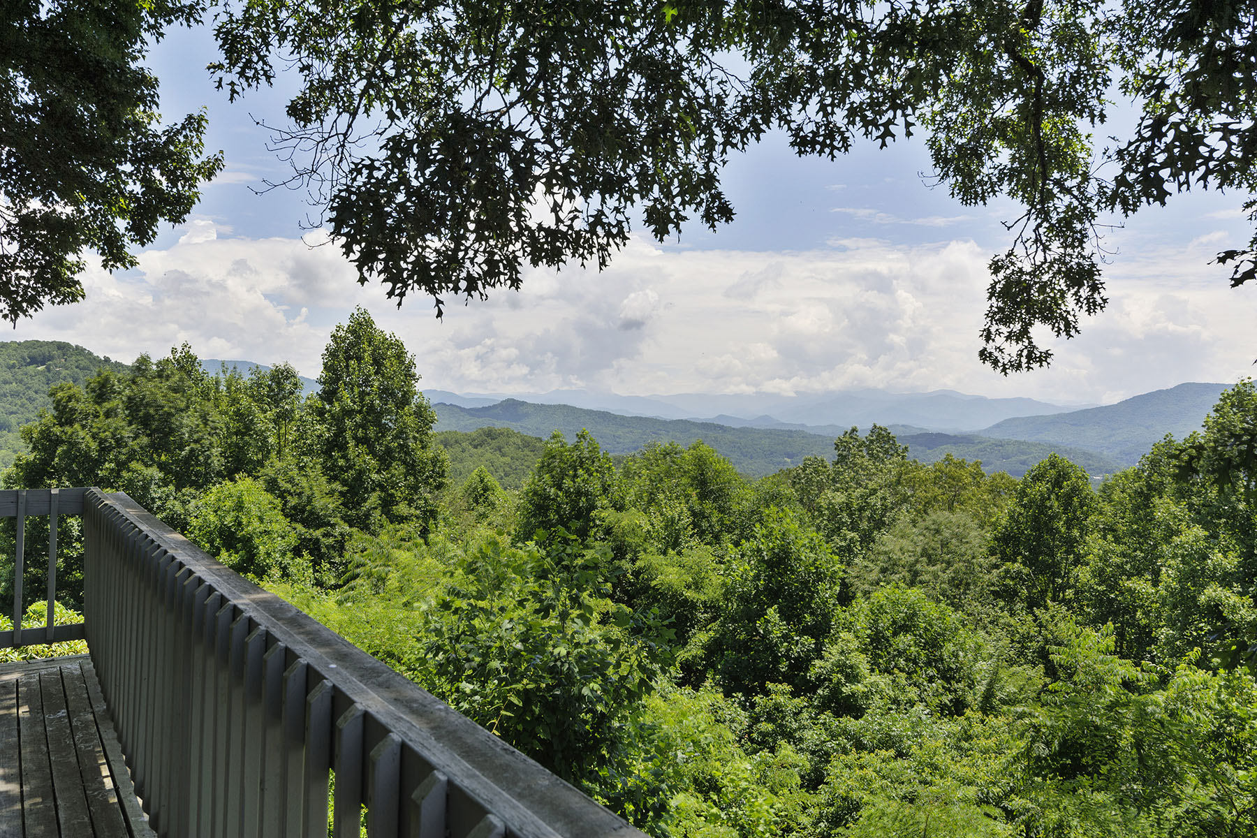 800 Fernwood Drive
