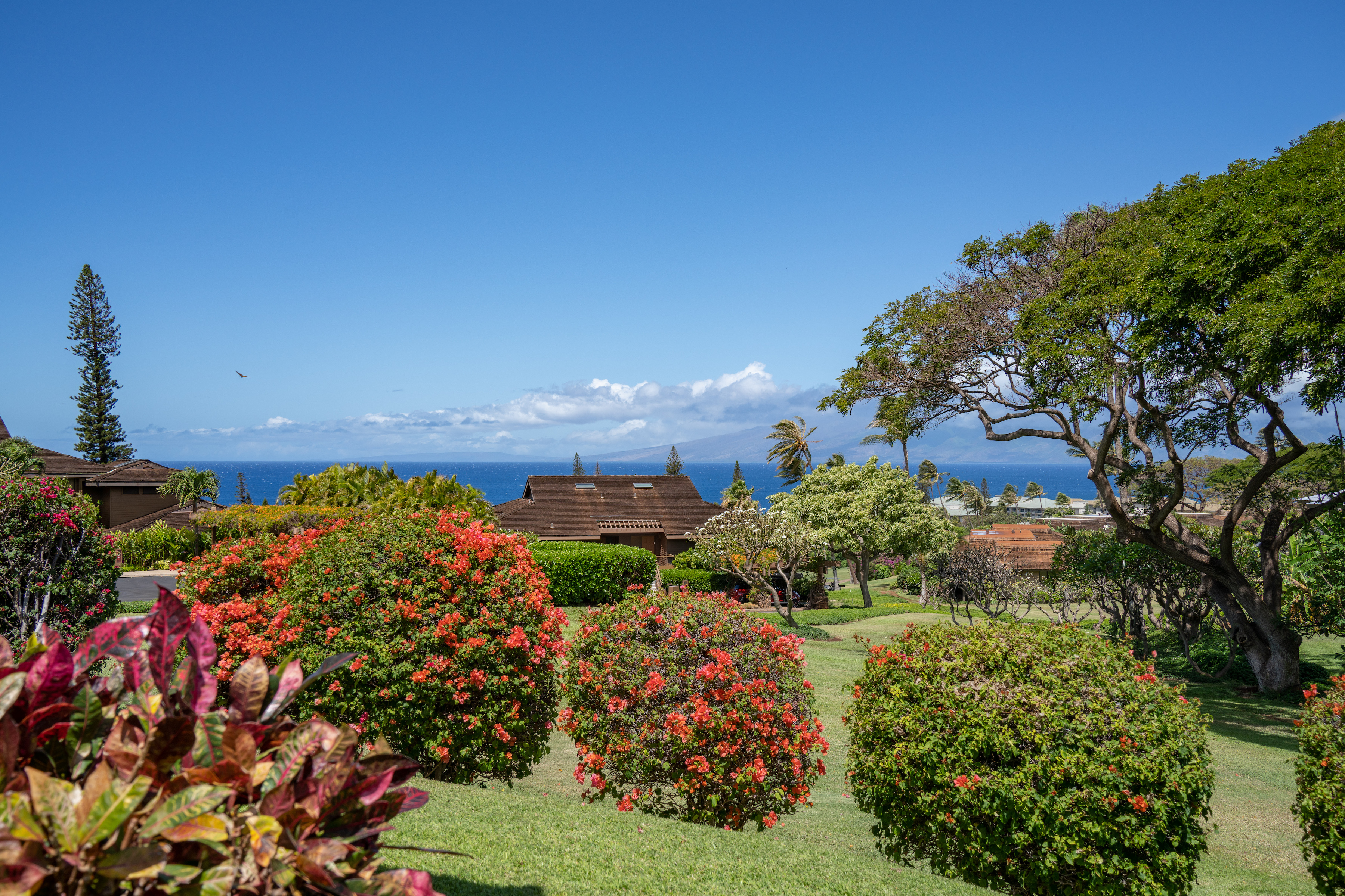 The Masters at Kaanapali 50 Puu Anoano St, #501