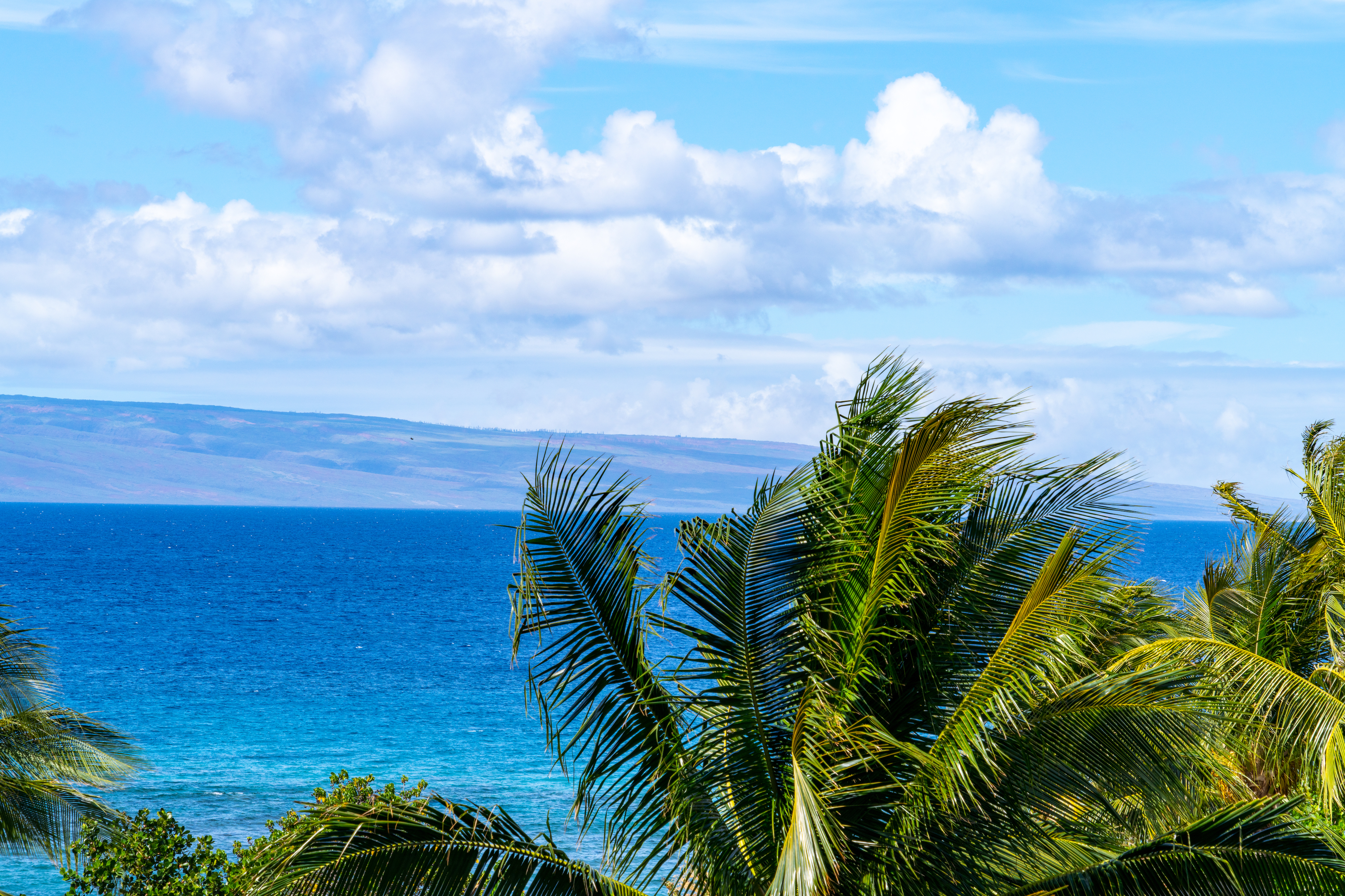 Honua Kai - Konea 130 Kai Malina Parkway #NR448