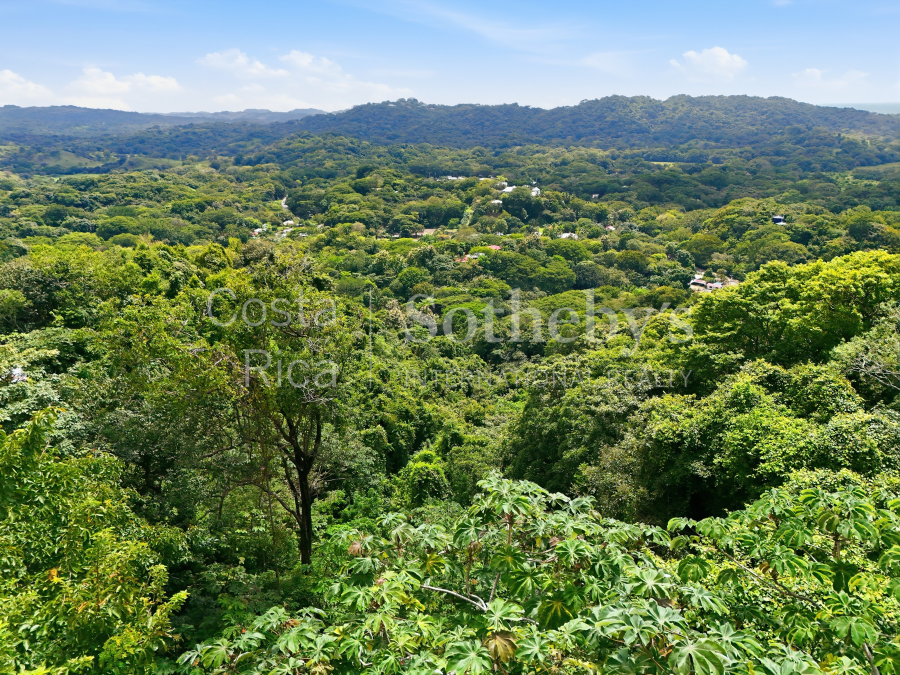 Nosara | Guiones