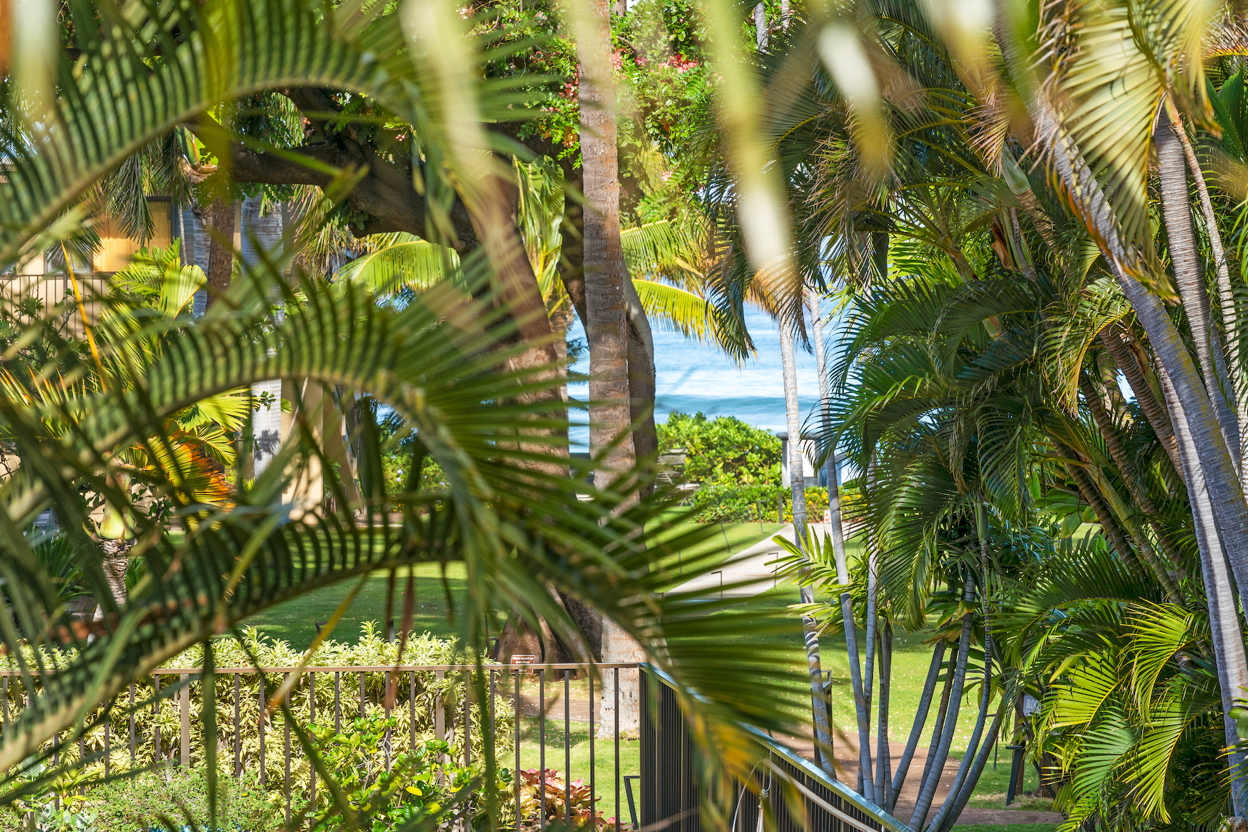 Maui Sands 3559 Lower Honoapiilani Rd, #1K