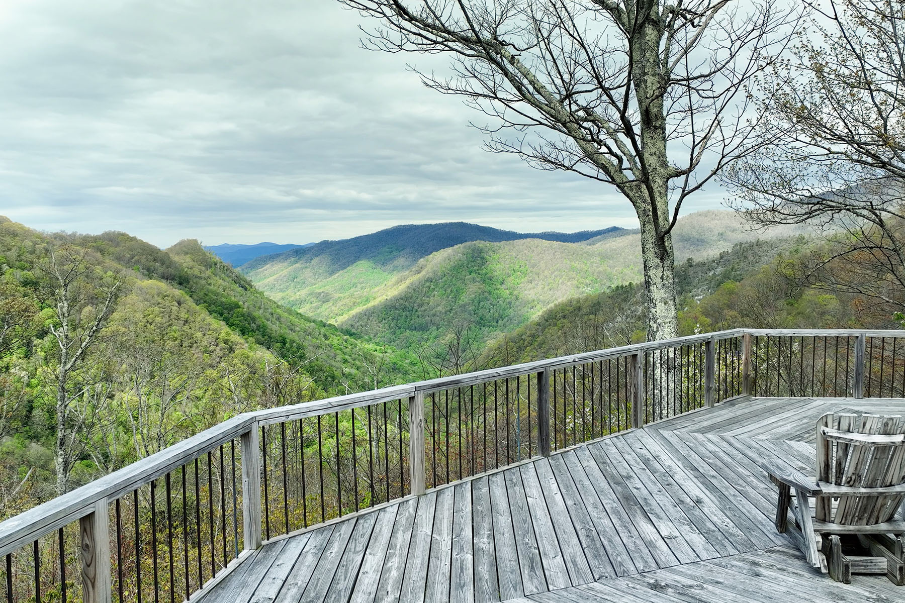 181 Redwood Trail