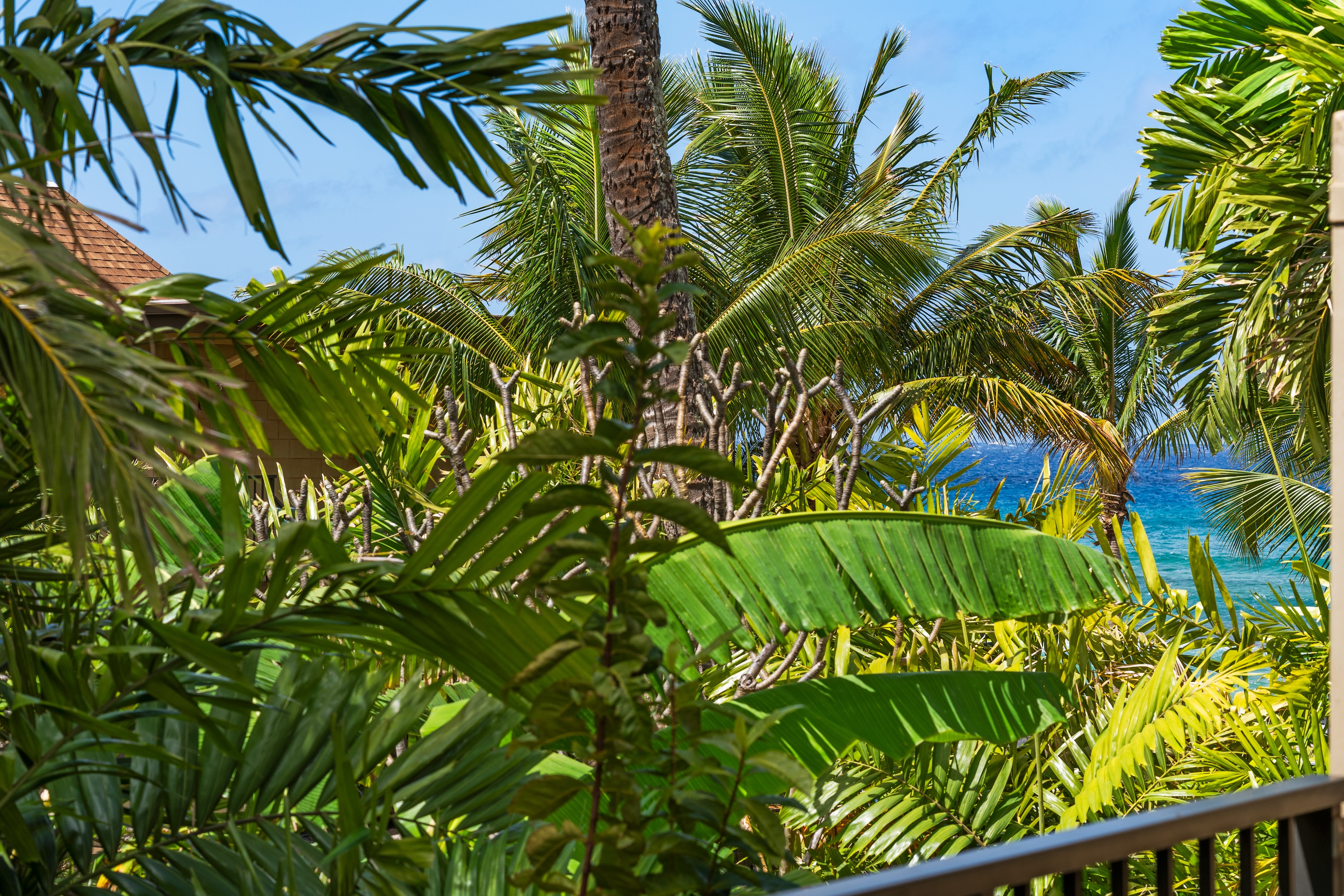 Maui Sands 3559 Lower Honoapiilani Rd #3K