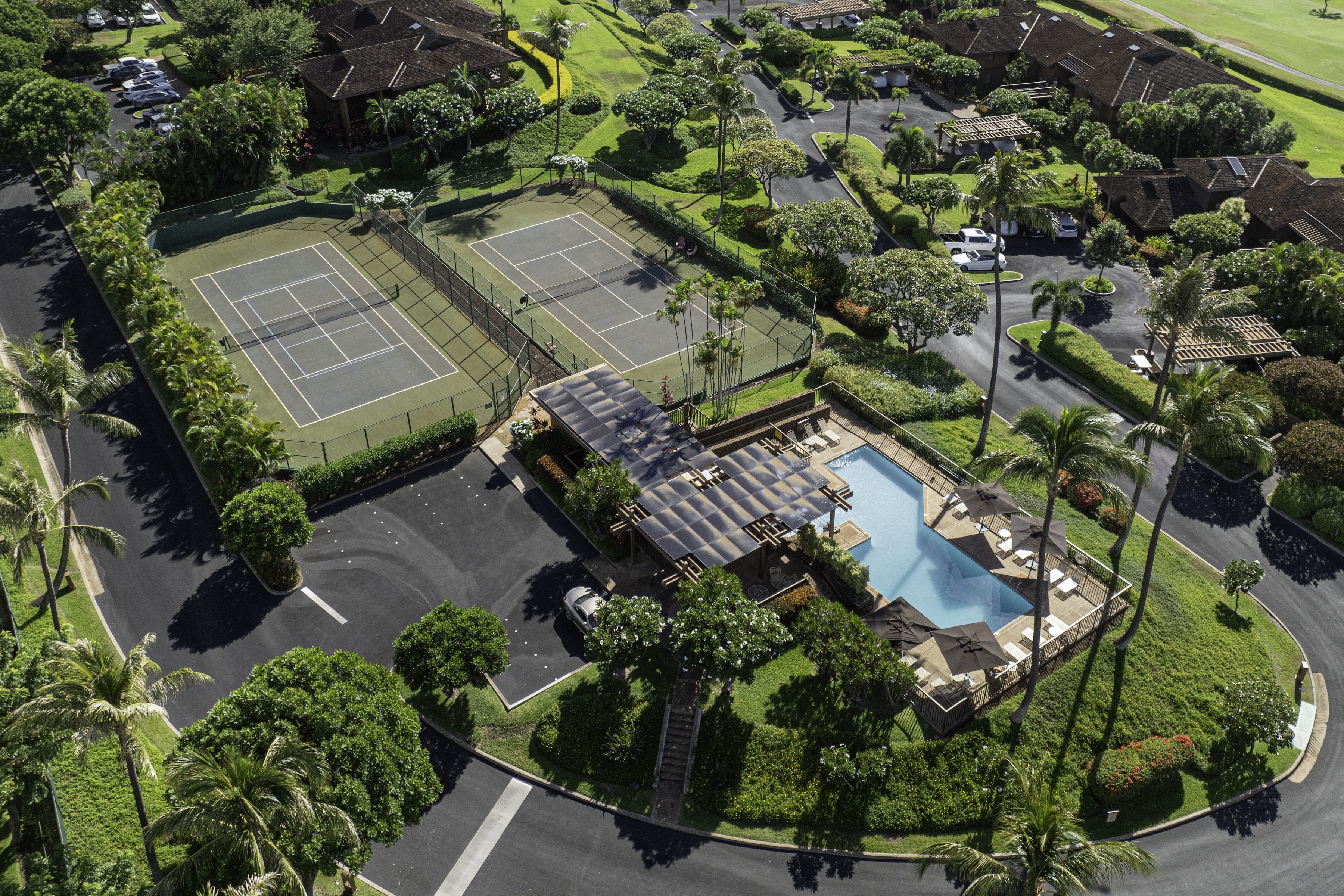 Masters 1004 50 Puu Anoano Street