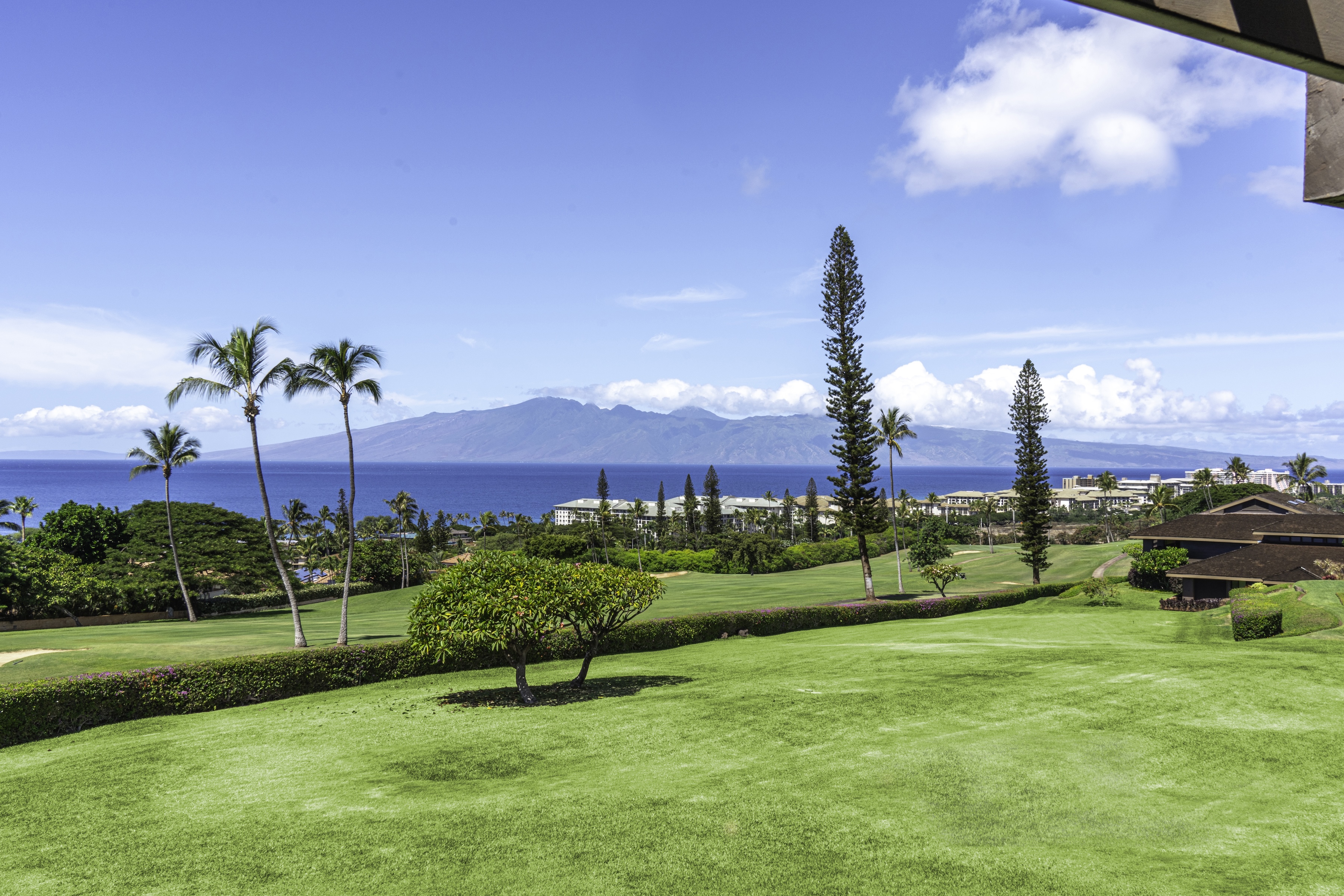 Masters 1004 50 Puu Anoano Street