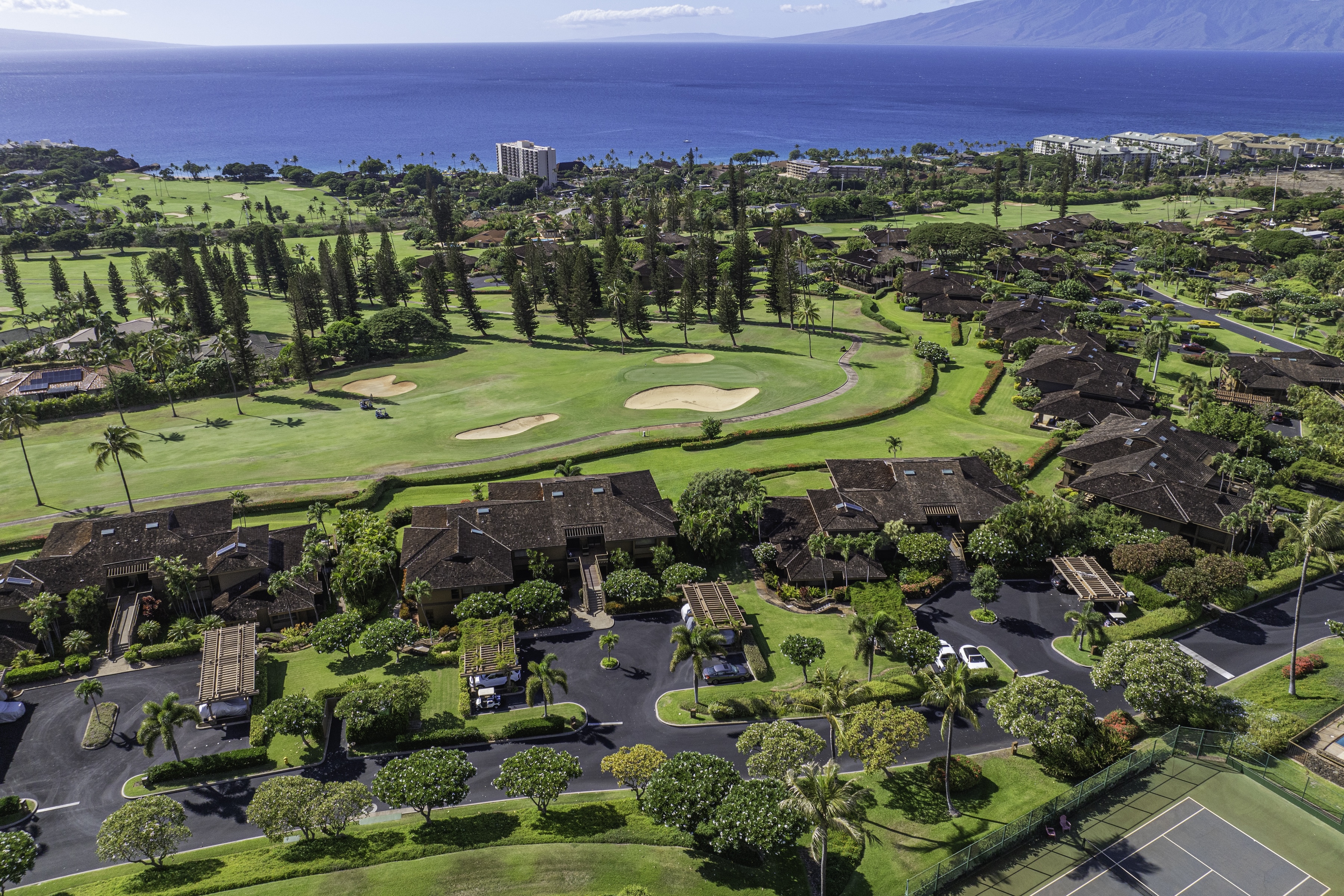 Masters 1004 50 Puu Anoano Street