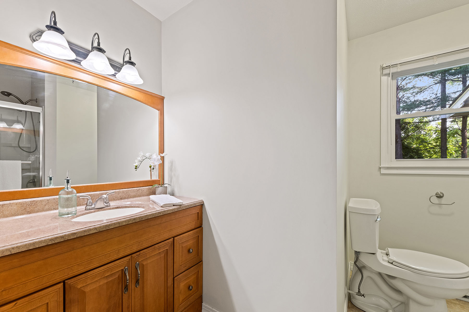 243 Wood Lily Drive