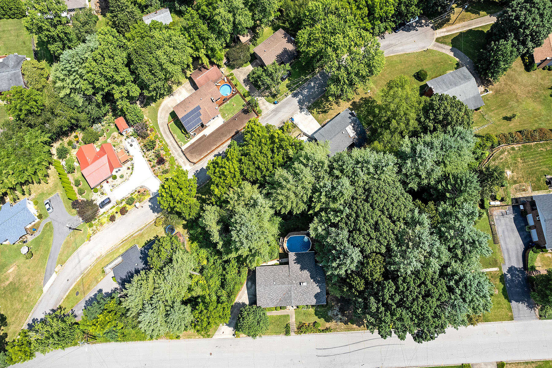 243 Wood Lily Drive