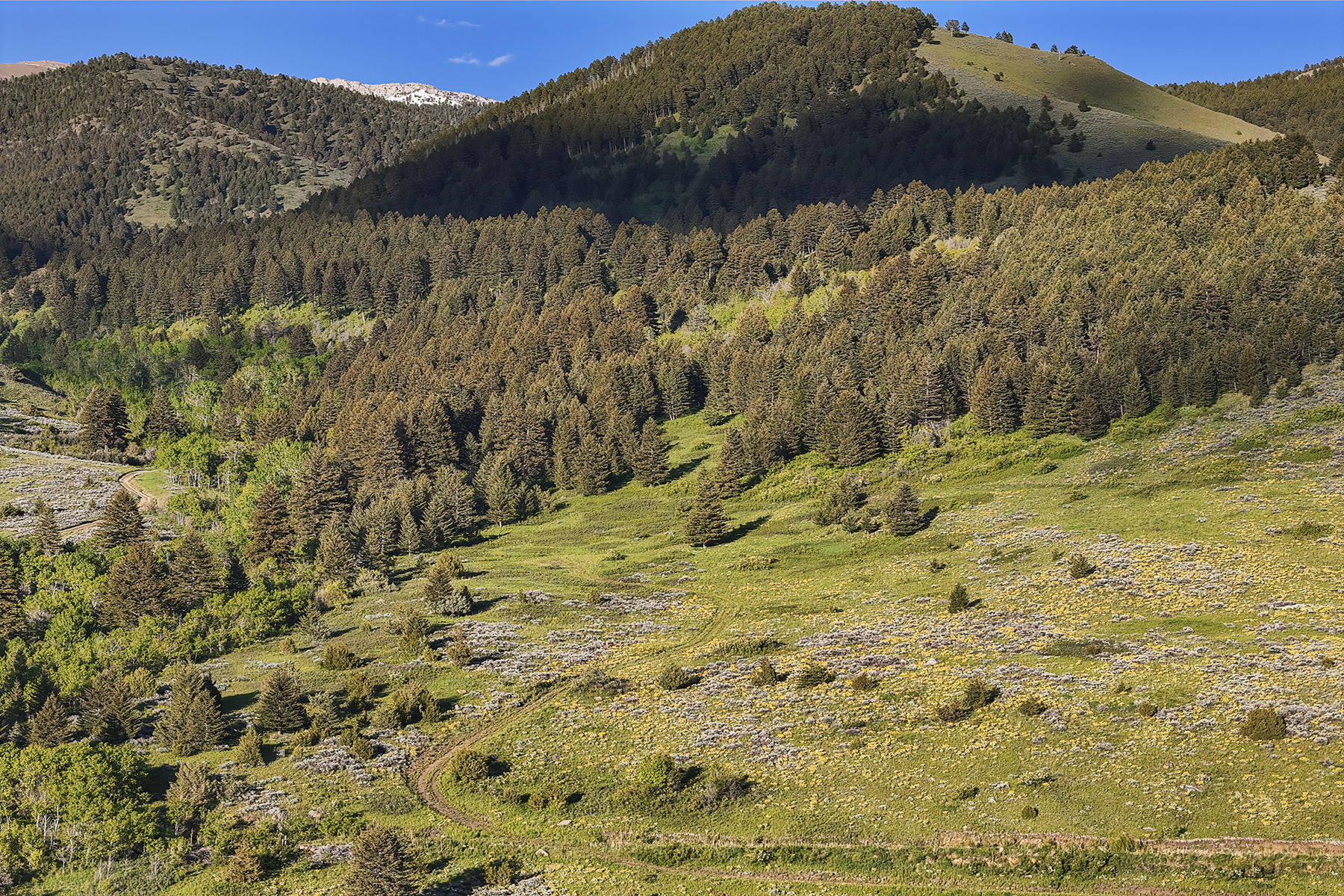 Aspen Ridge Ranch at Four Bar Ranches