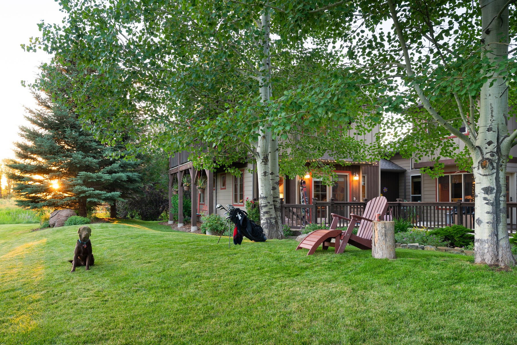 3213 Augusta Drive