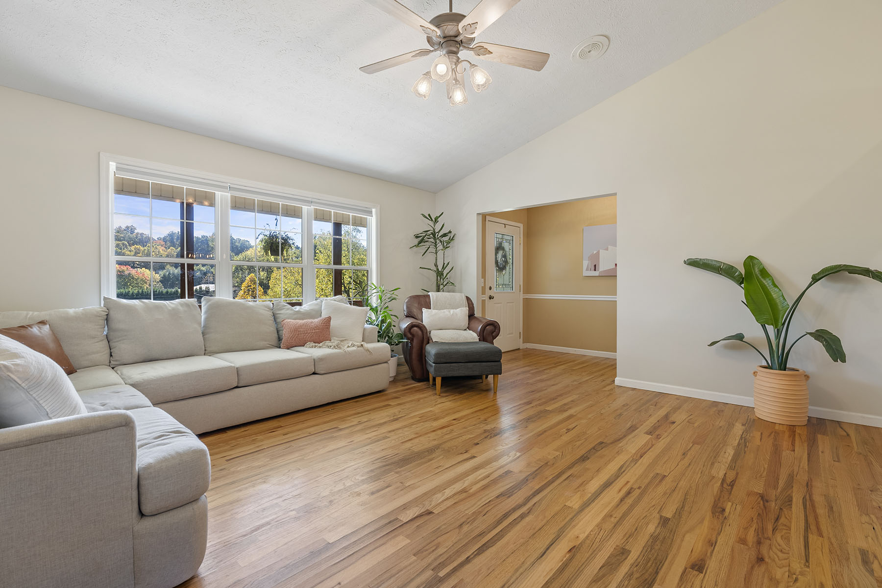 96 Mauney Cove Road