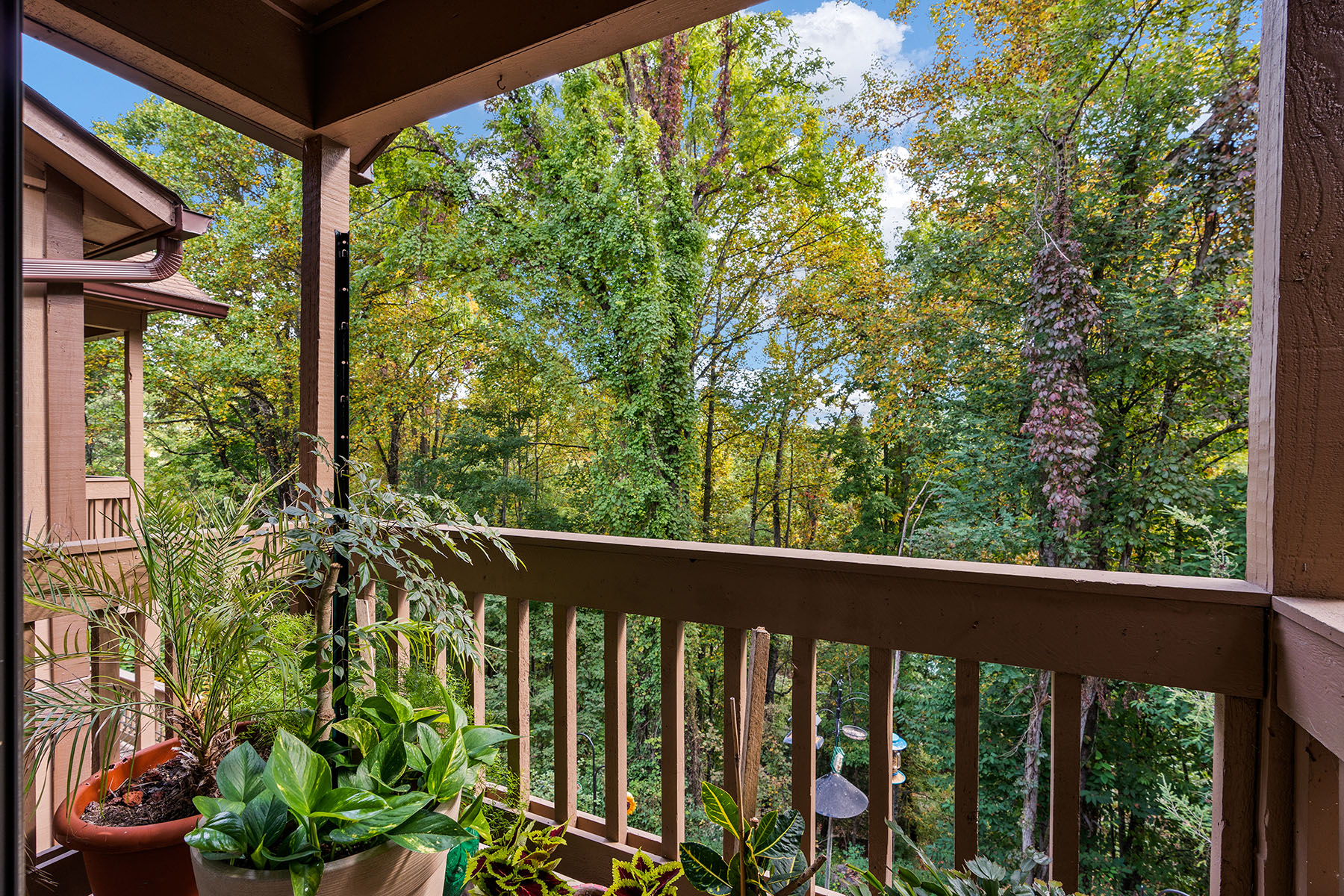 41 George Circle , 11