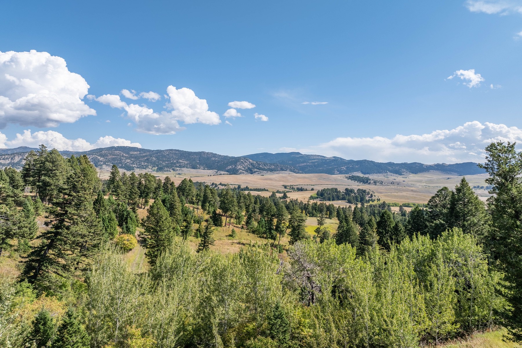 1220 Green Valley Way