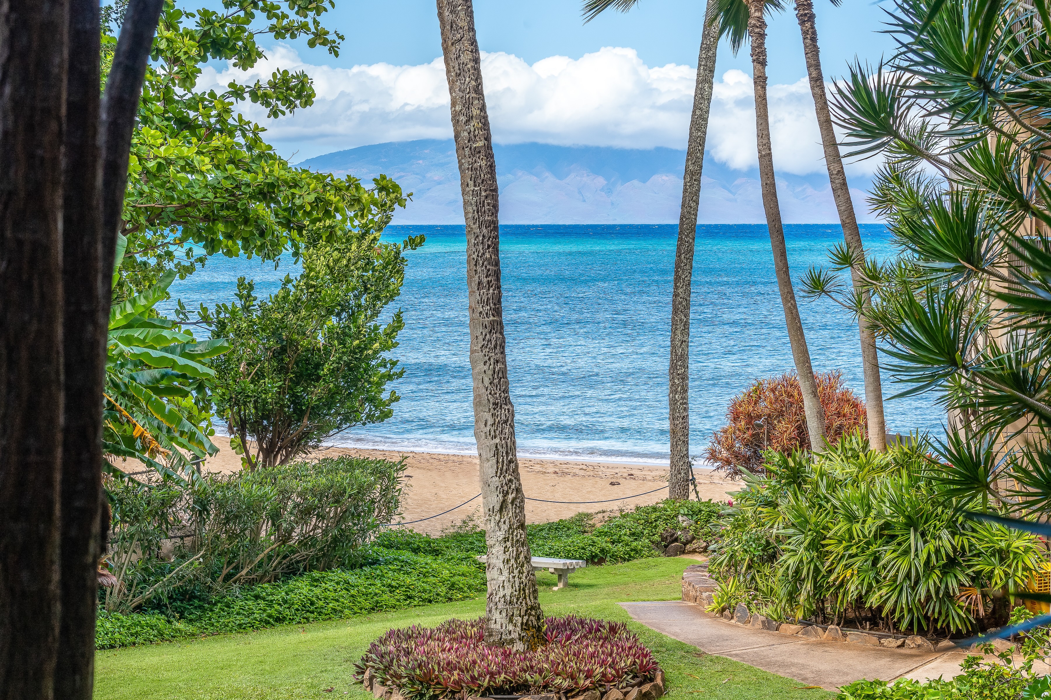Valley Isle #309 4327 Lower Honoapiilani Rd.