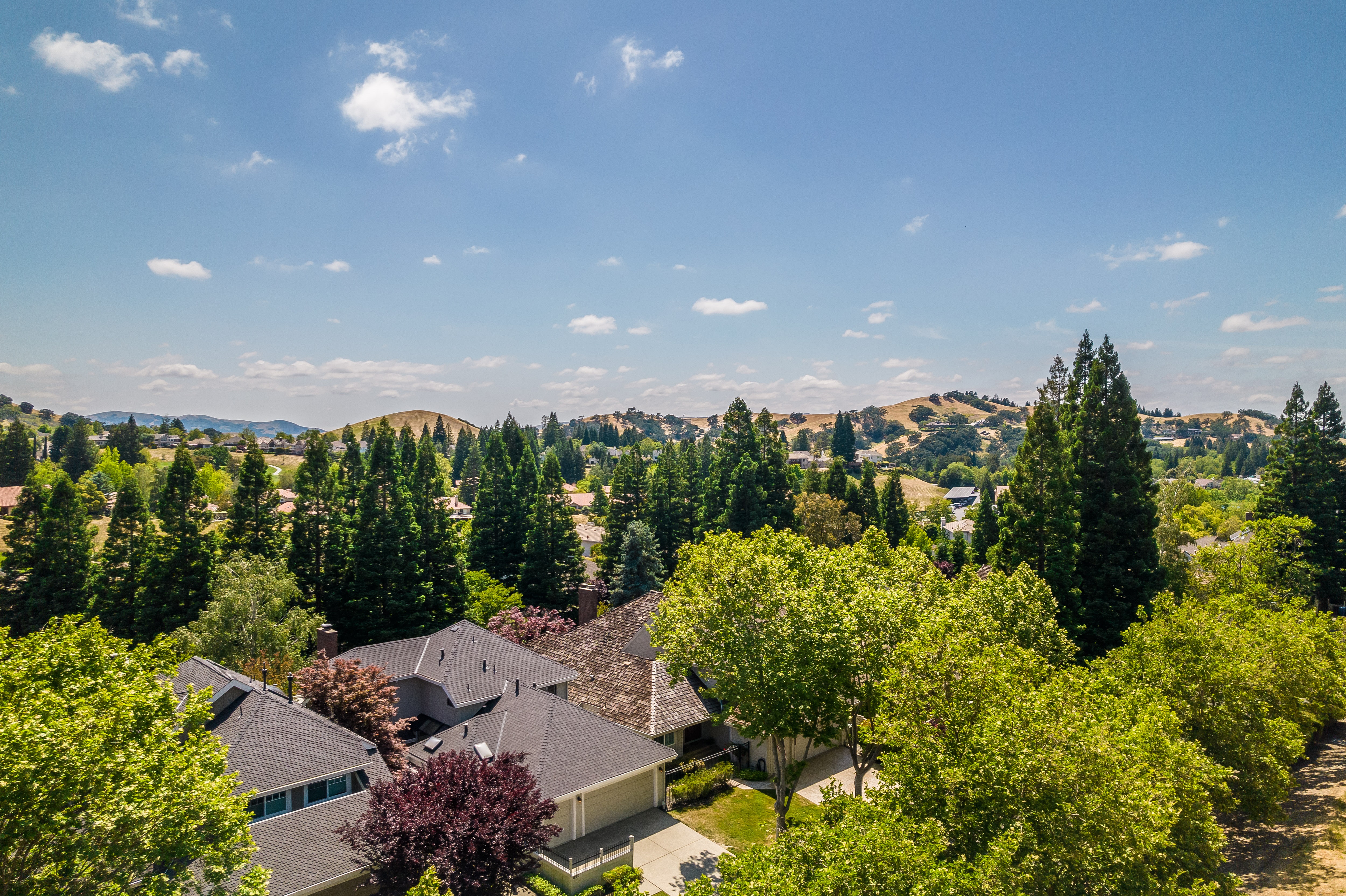 829 Redwood Drive 