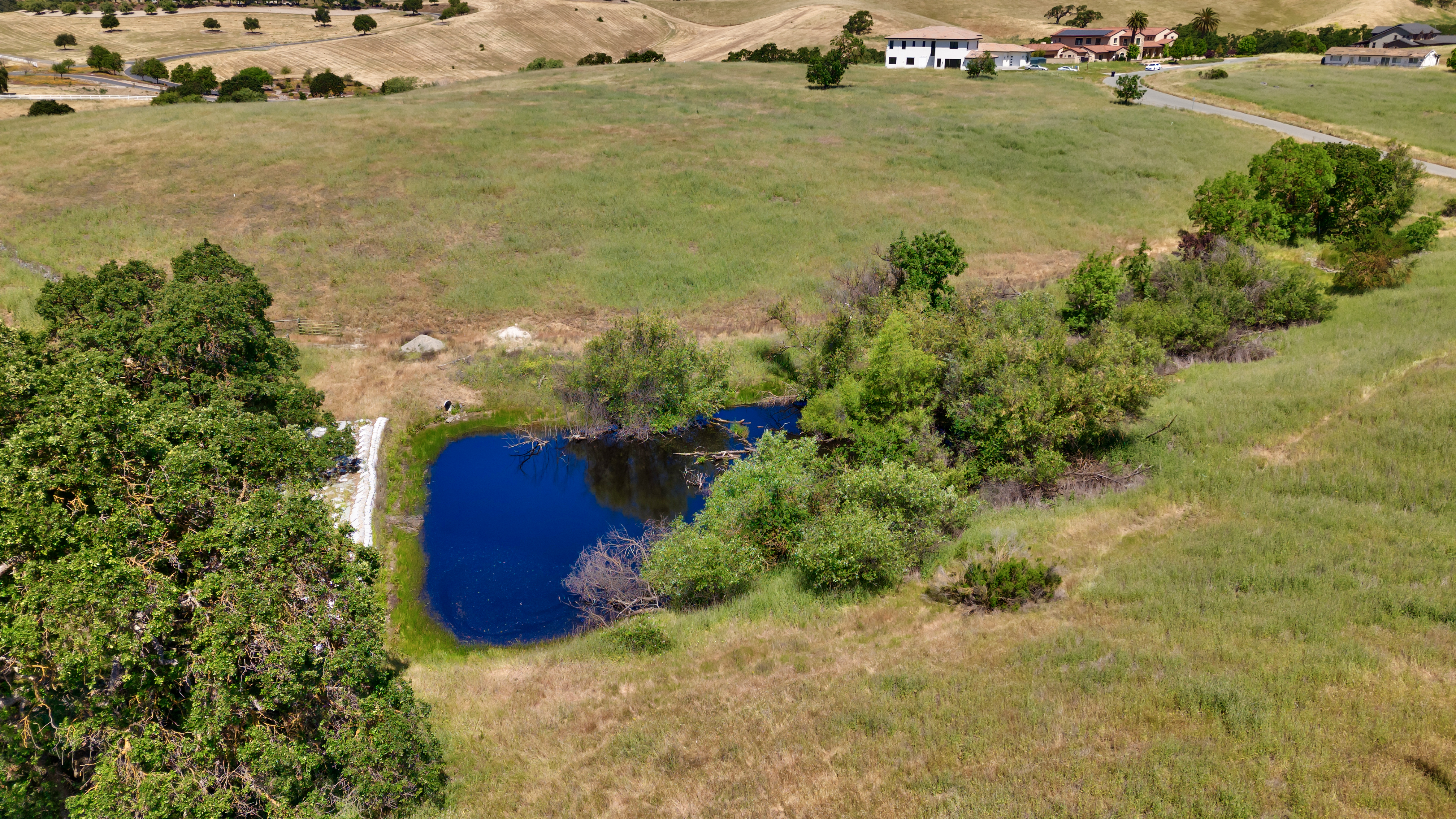 7768 Laguna Heights Court 