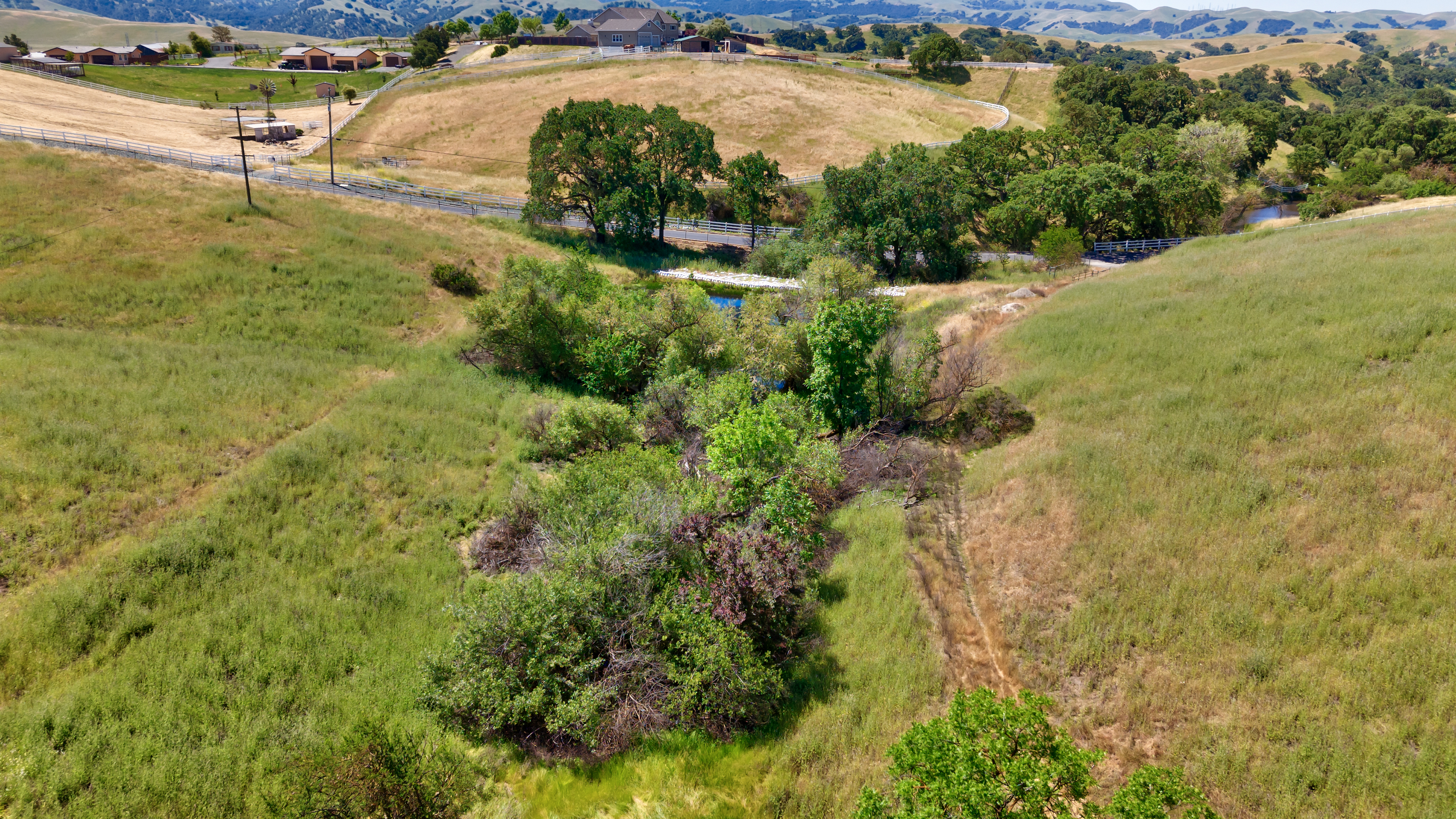 7768 Laguna Heights Court 