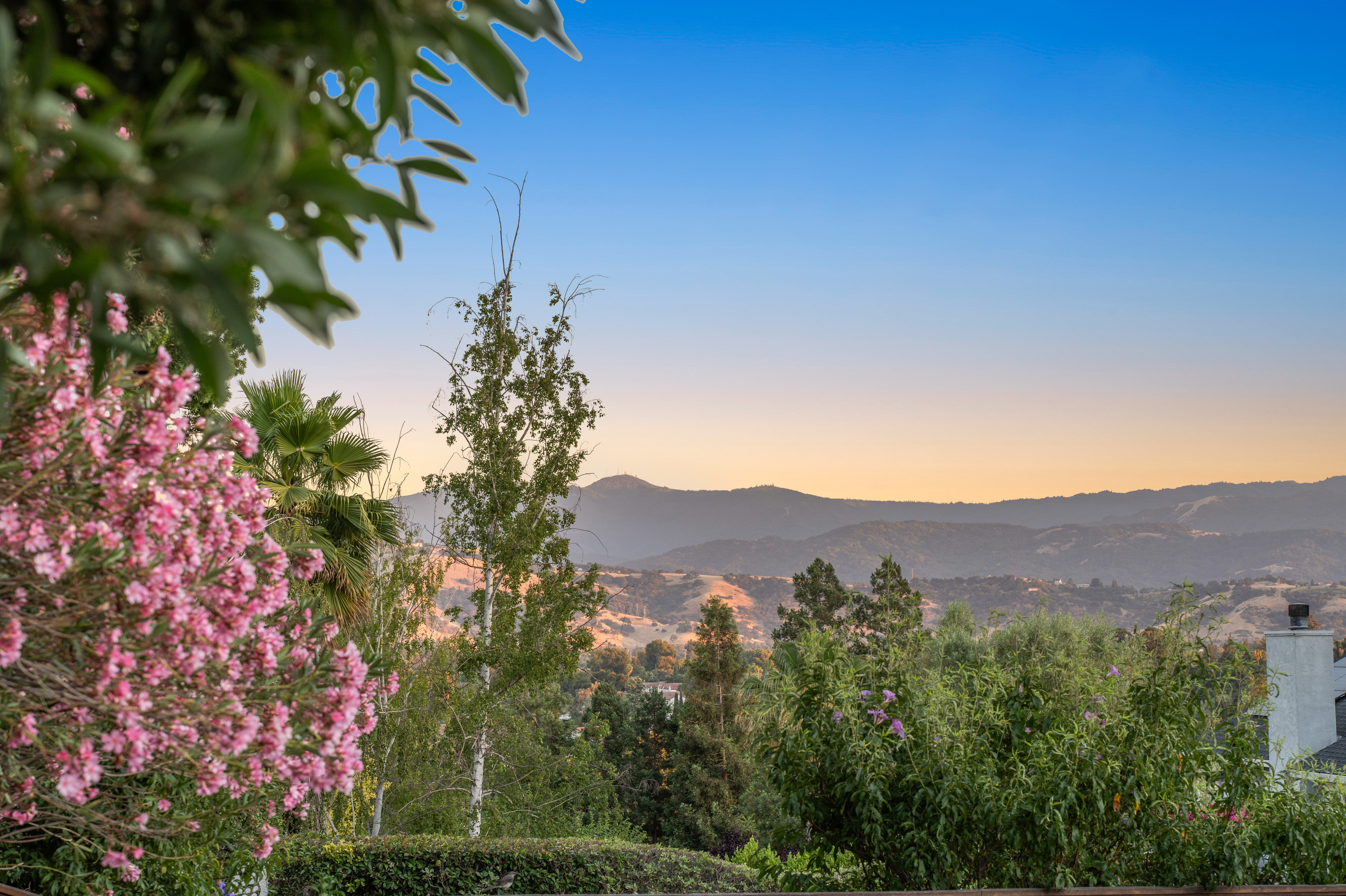 174 Knightshaven Way 