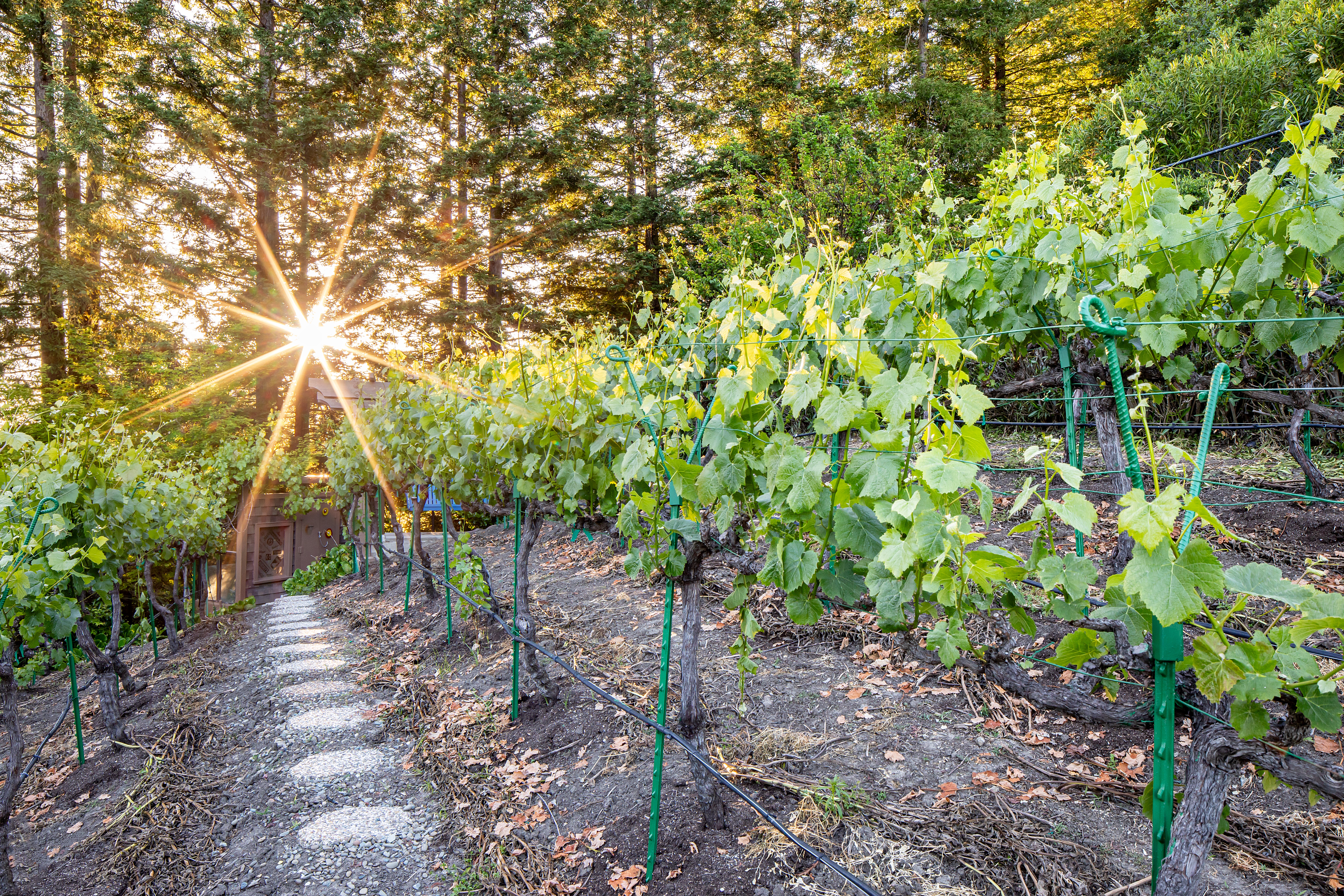 4128 Happy Valley Road 