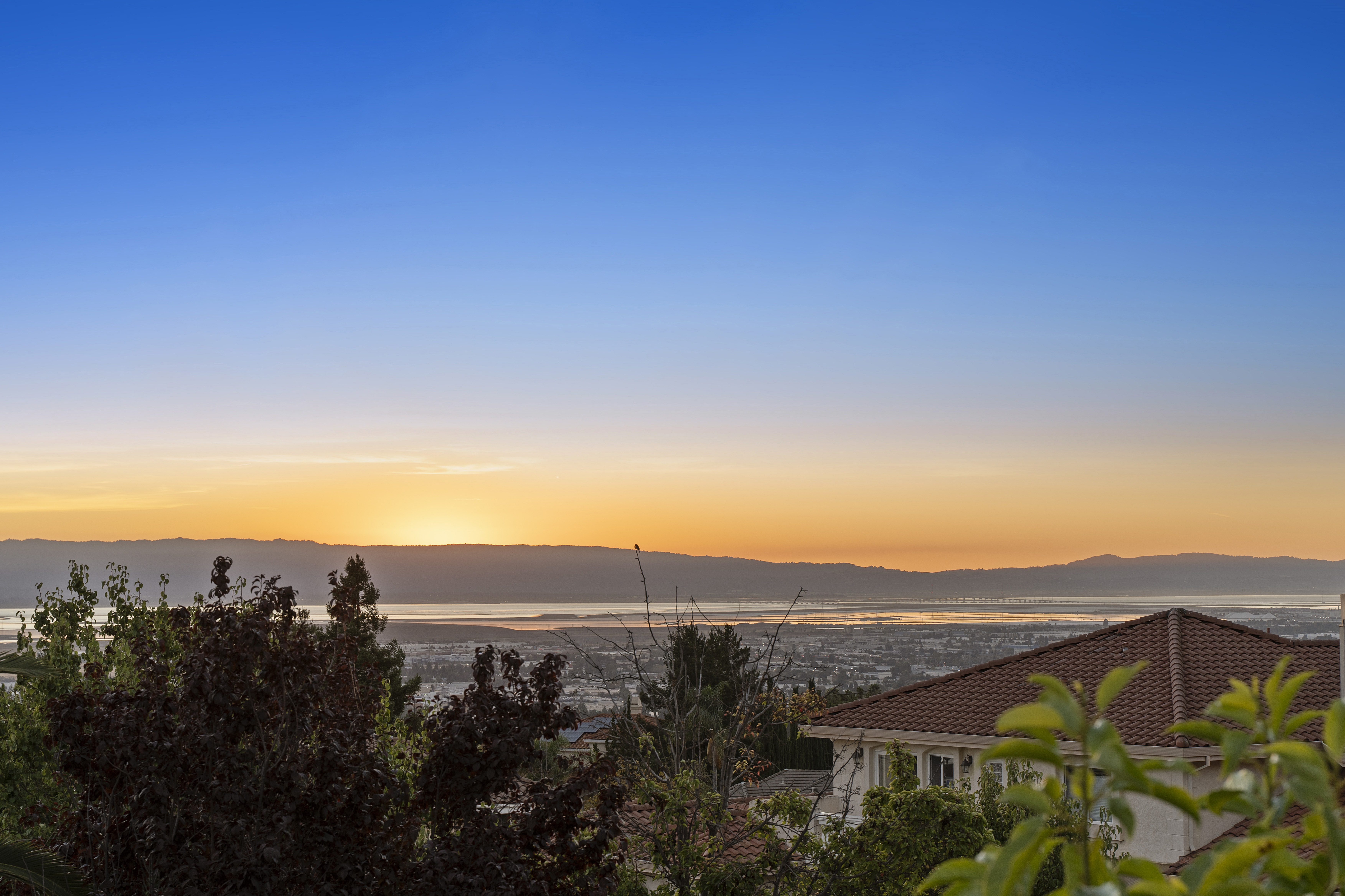 2765 Grapevine Terrace 