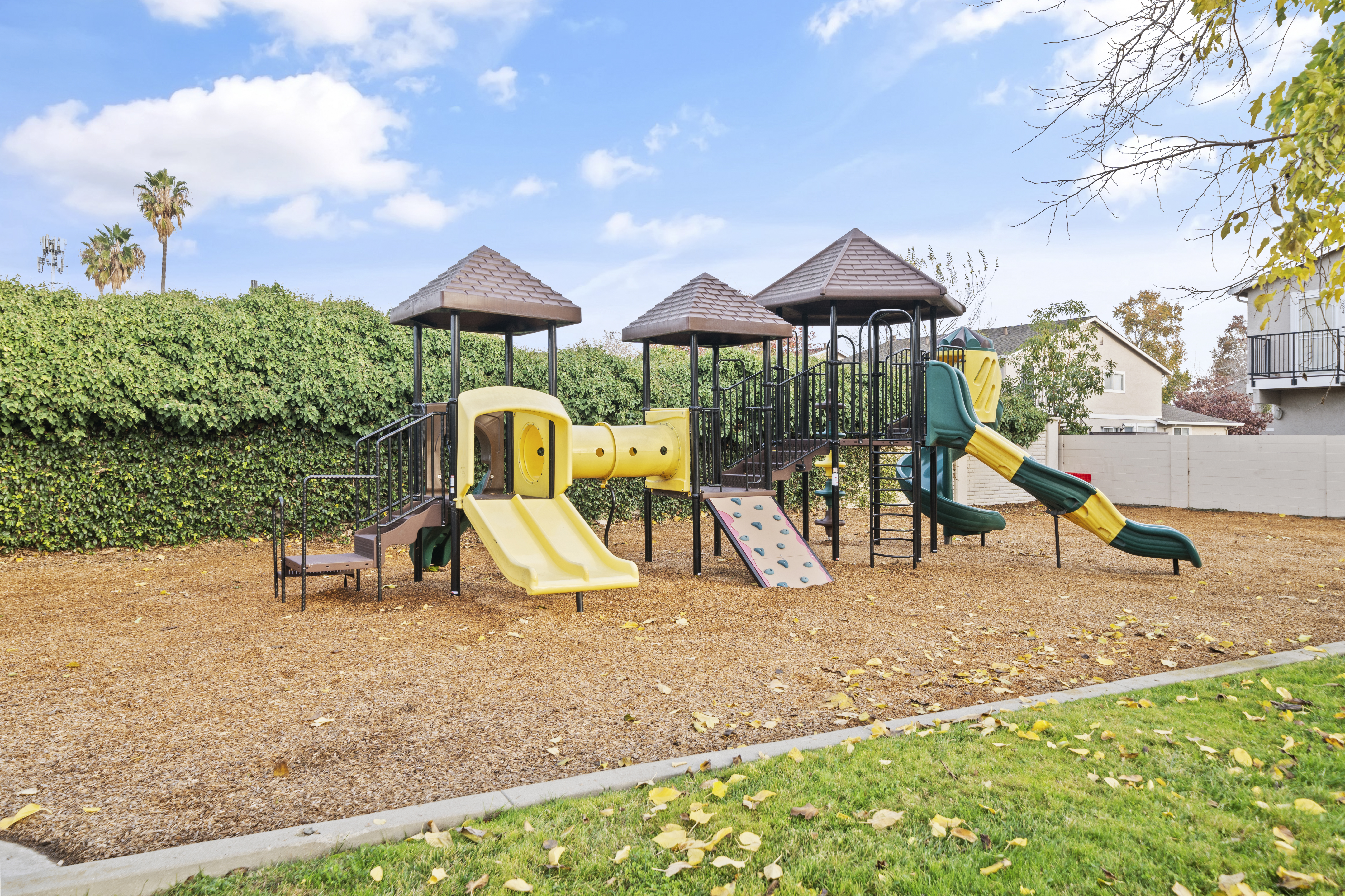 341 San Petra Court #1 