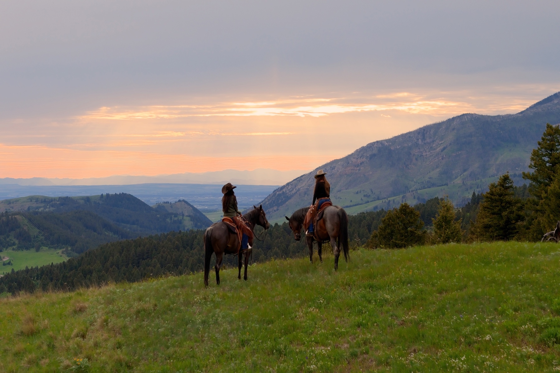 Ranch 12 North Pass Ranches