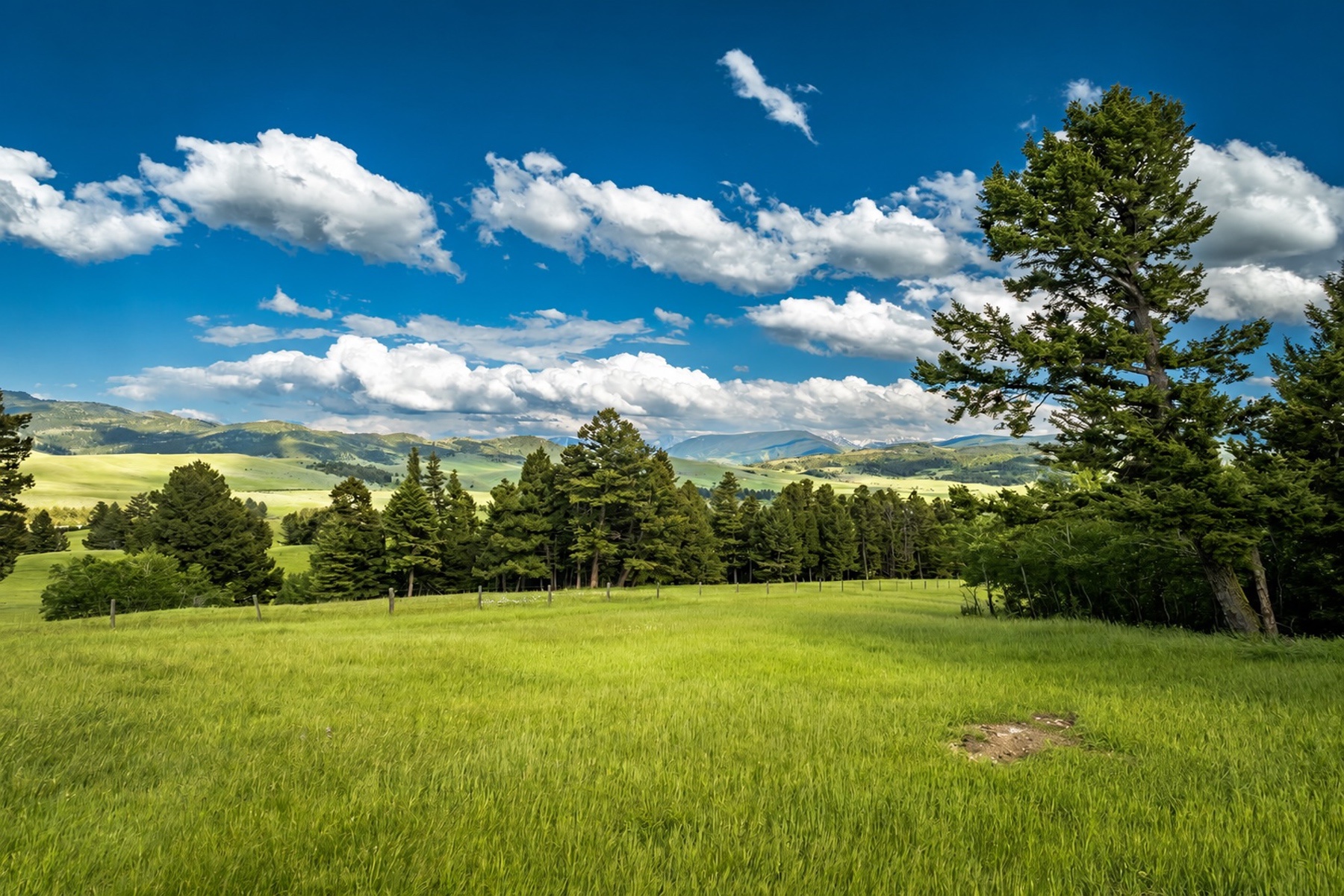 Ranch 12 North Pass Ranches