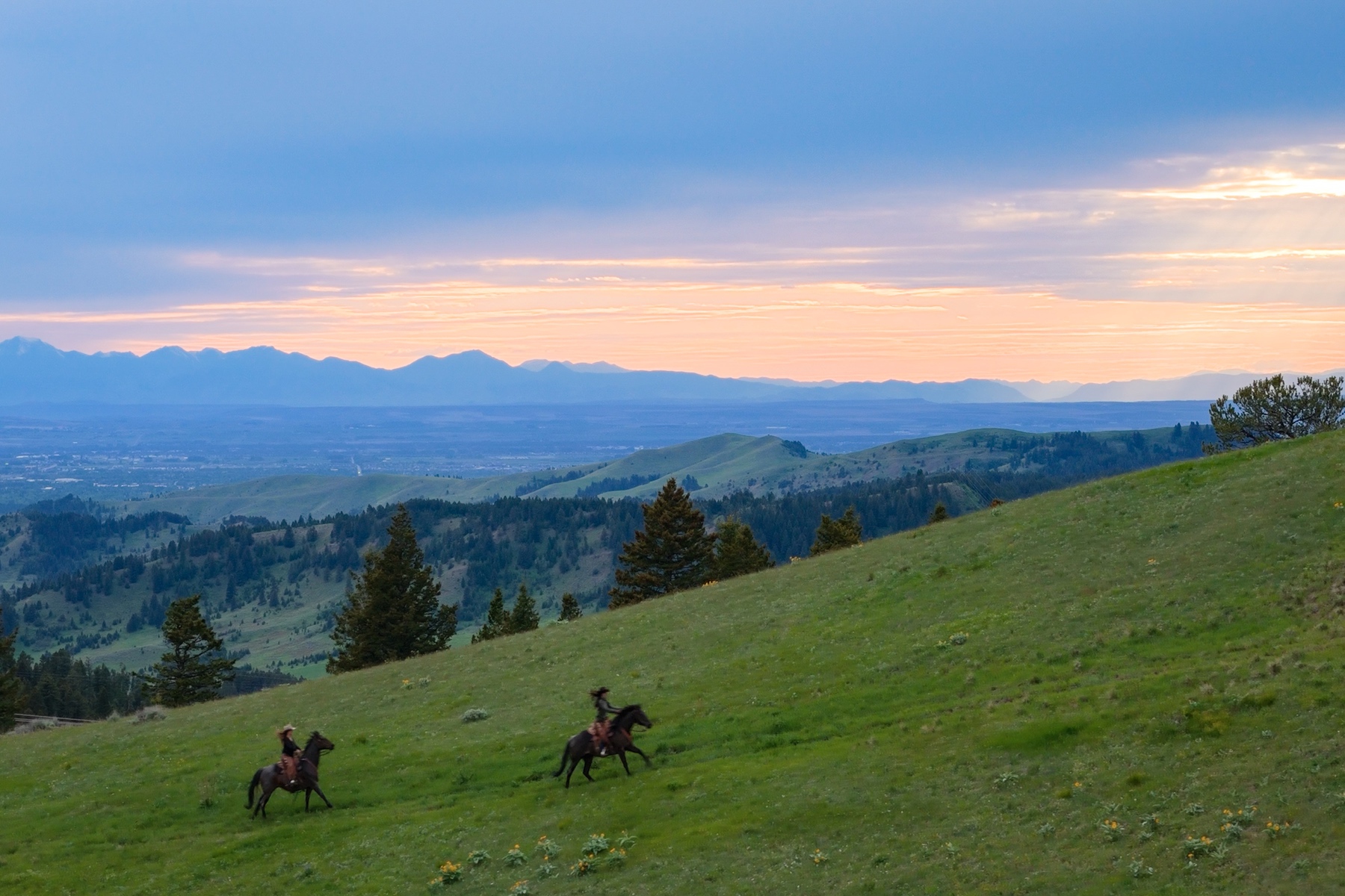 Ranch 12 North Pass Ranches