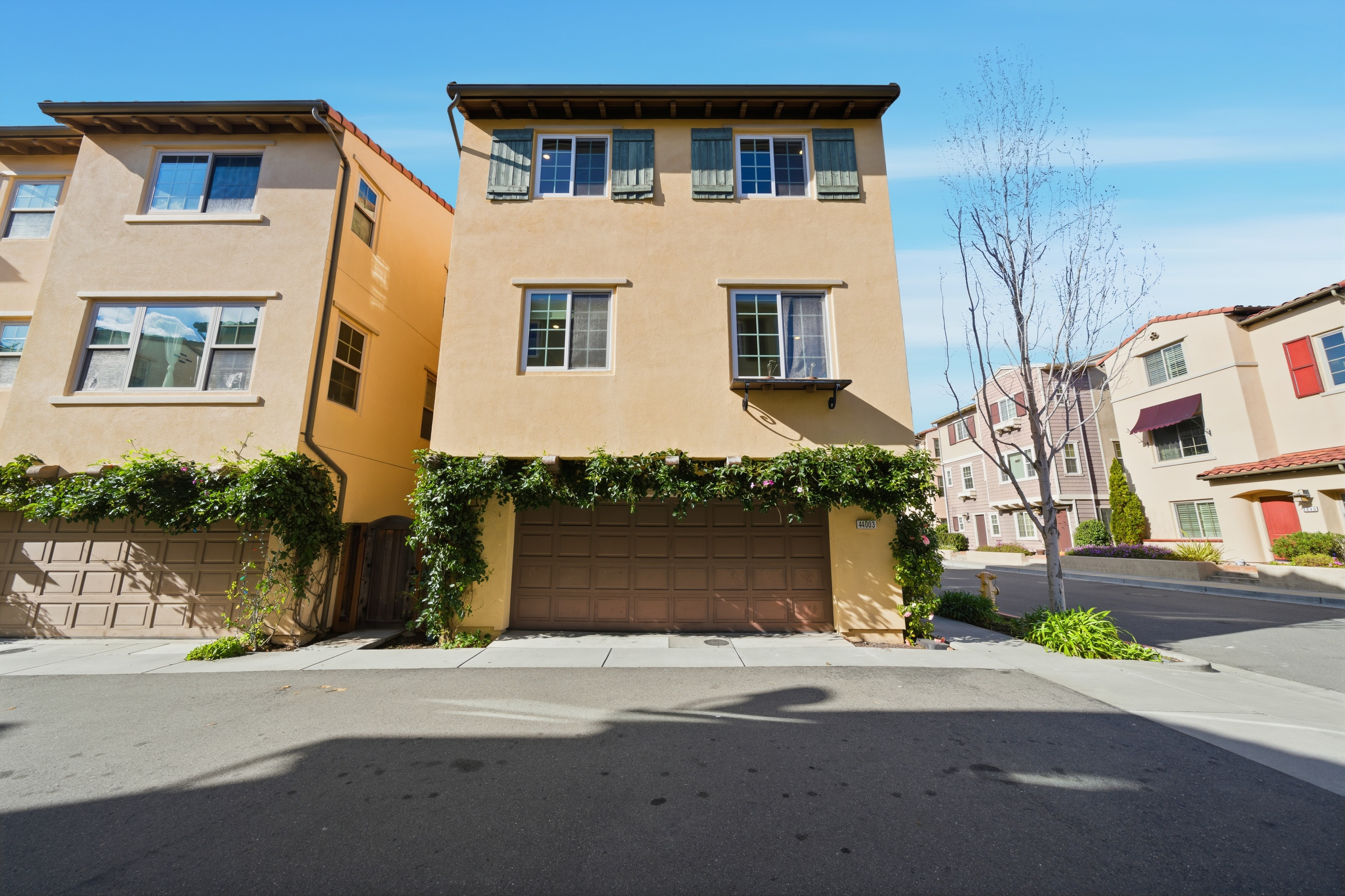 44003 Degas Terrace 