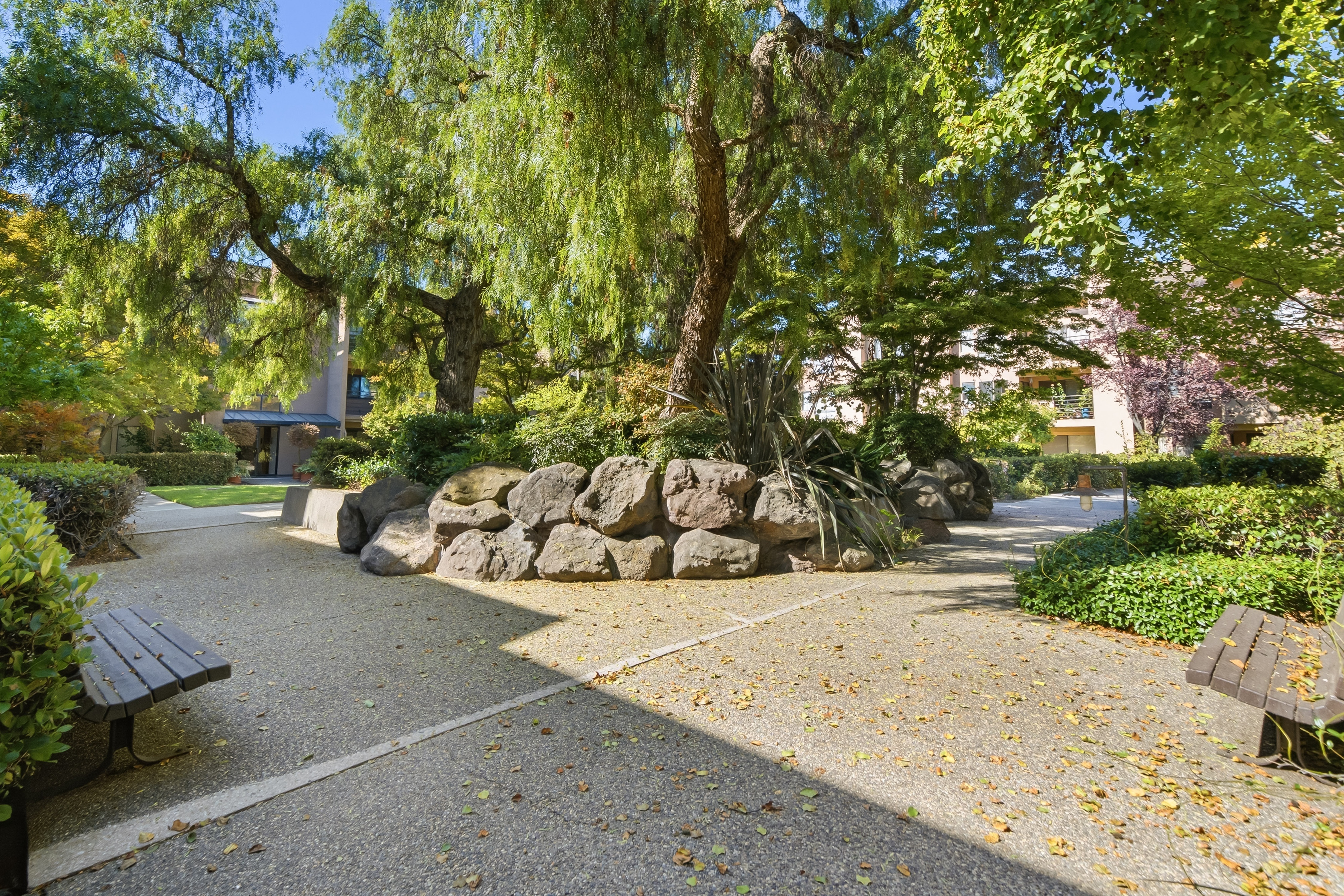 39199 Guardino Drive #372 