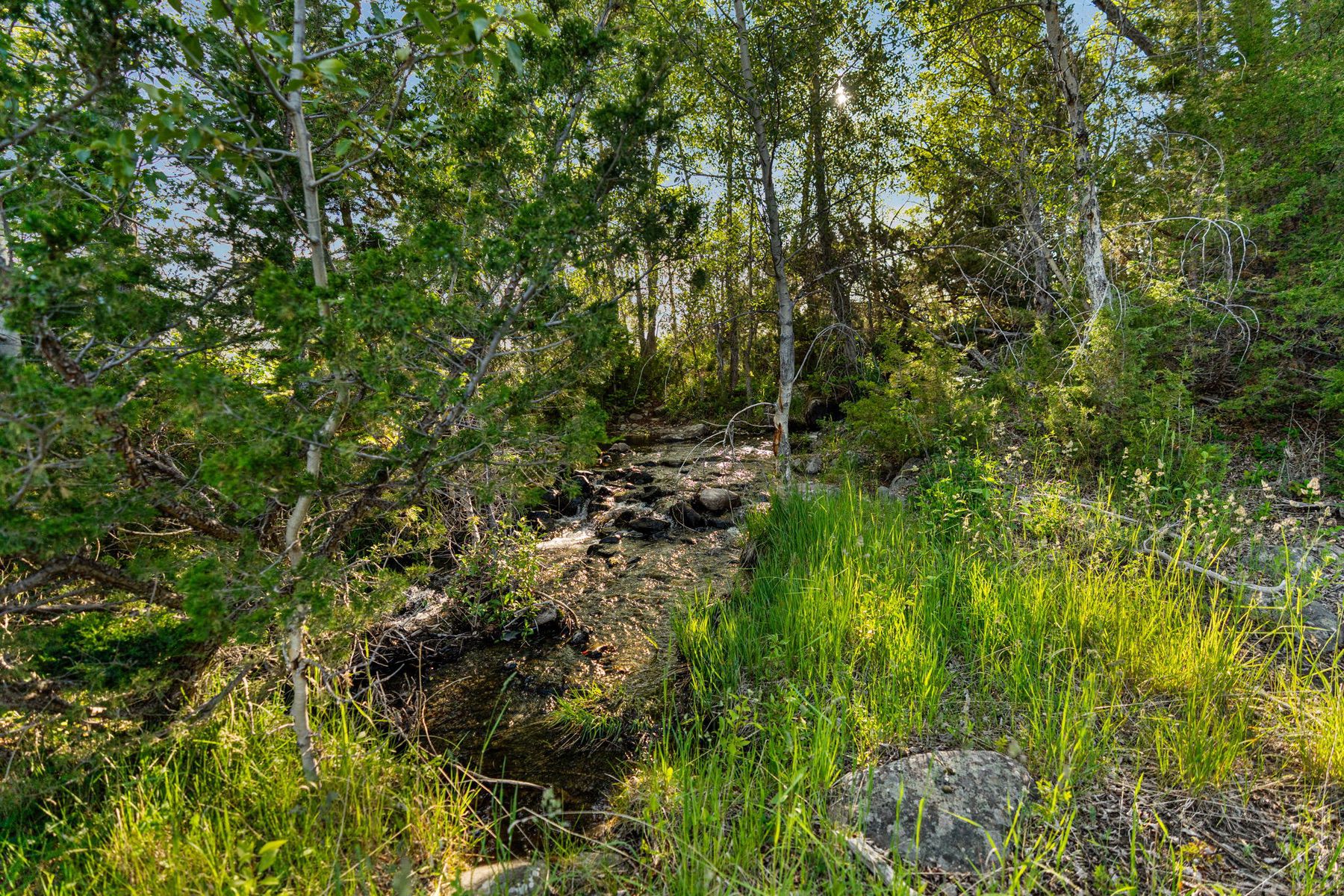 1580 Evan Reese Creek Road